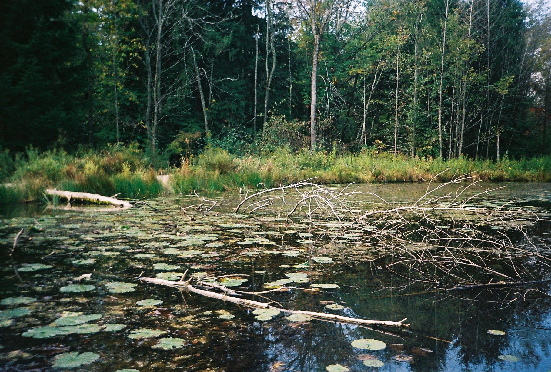 Milwaukee, WI | 35mm Film