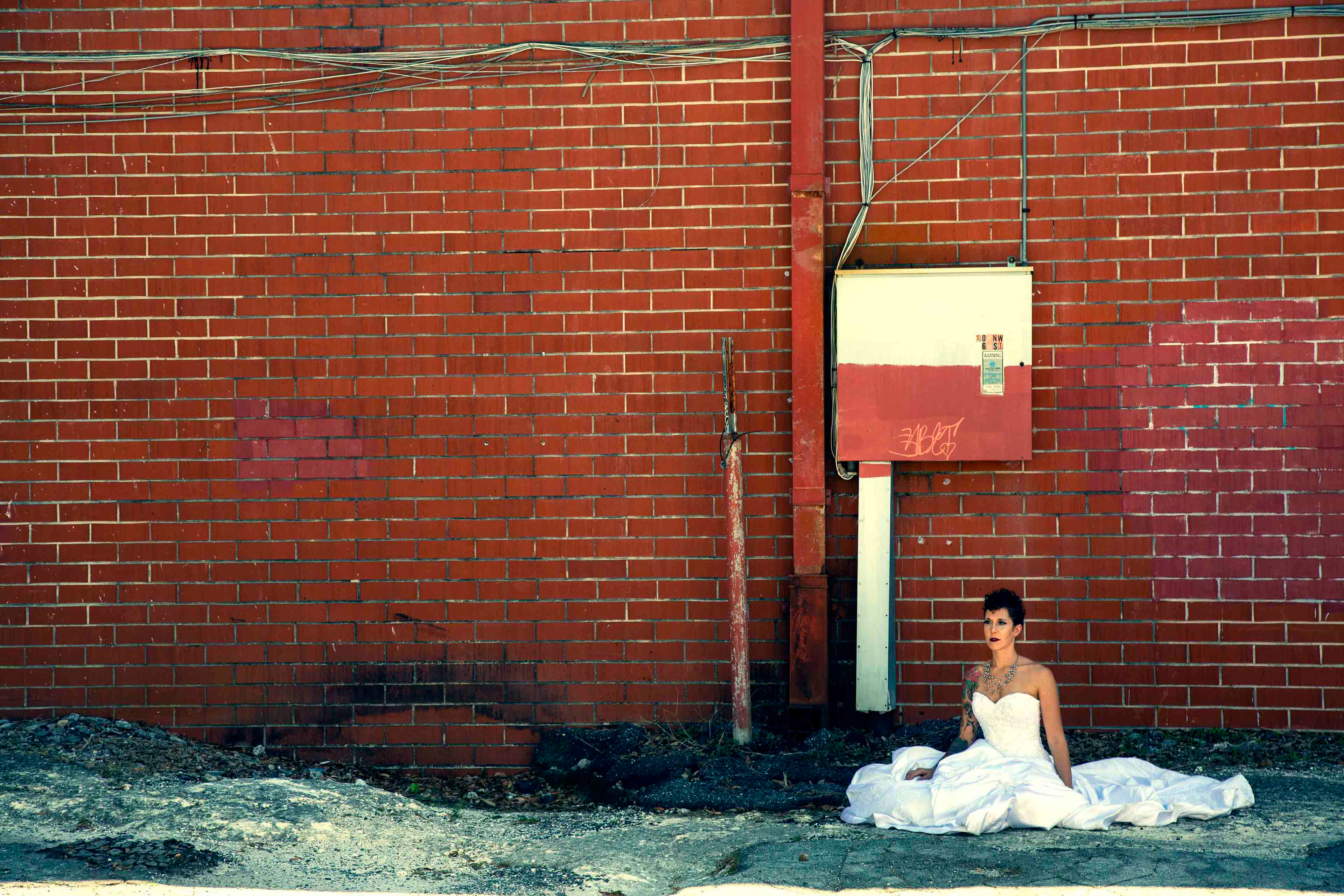 2020 Nancy Dinsmore (Purplefly Photography)