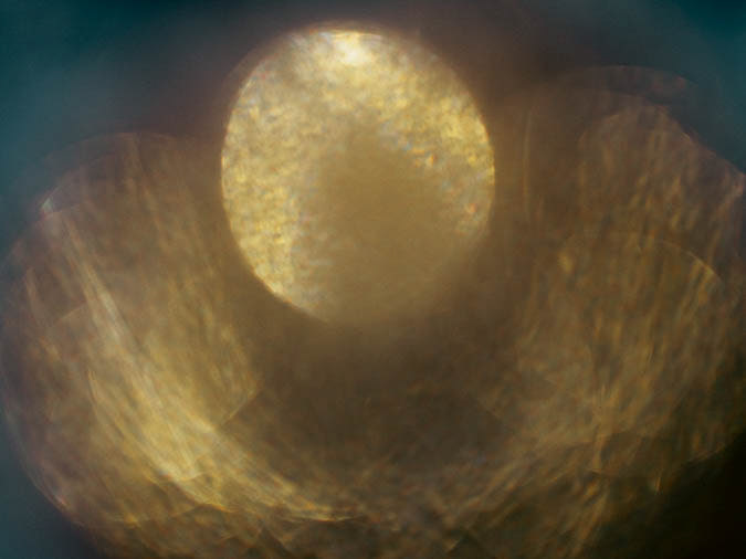Refraction #6 - Held