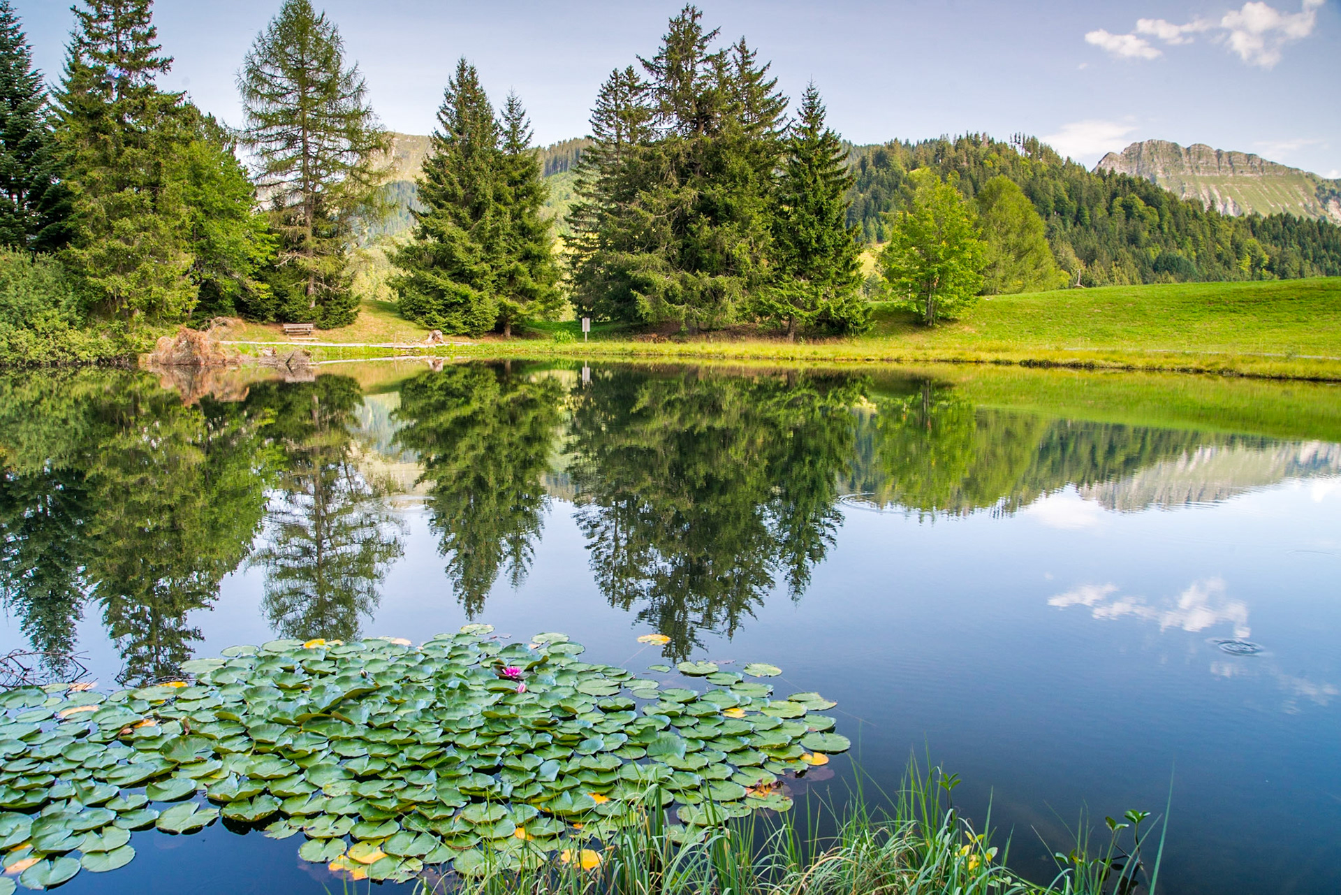 Fribourg - Switzerland