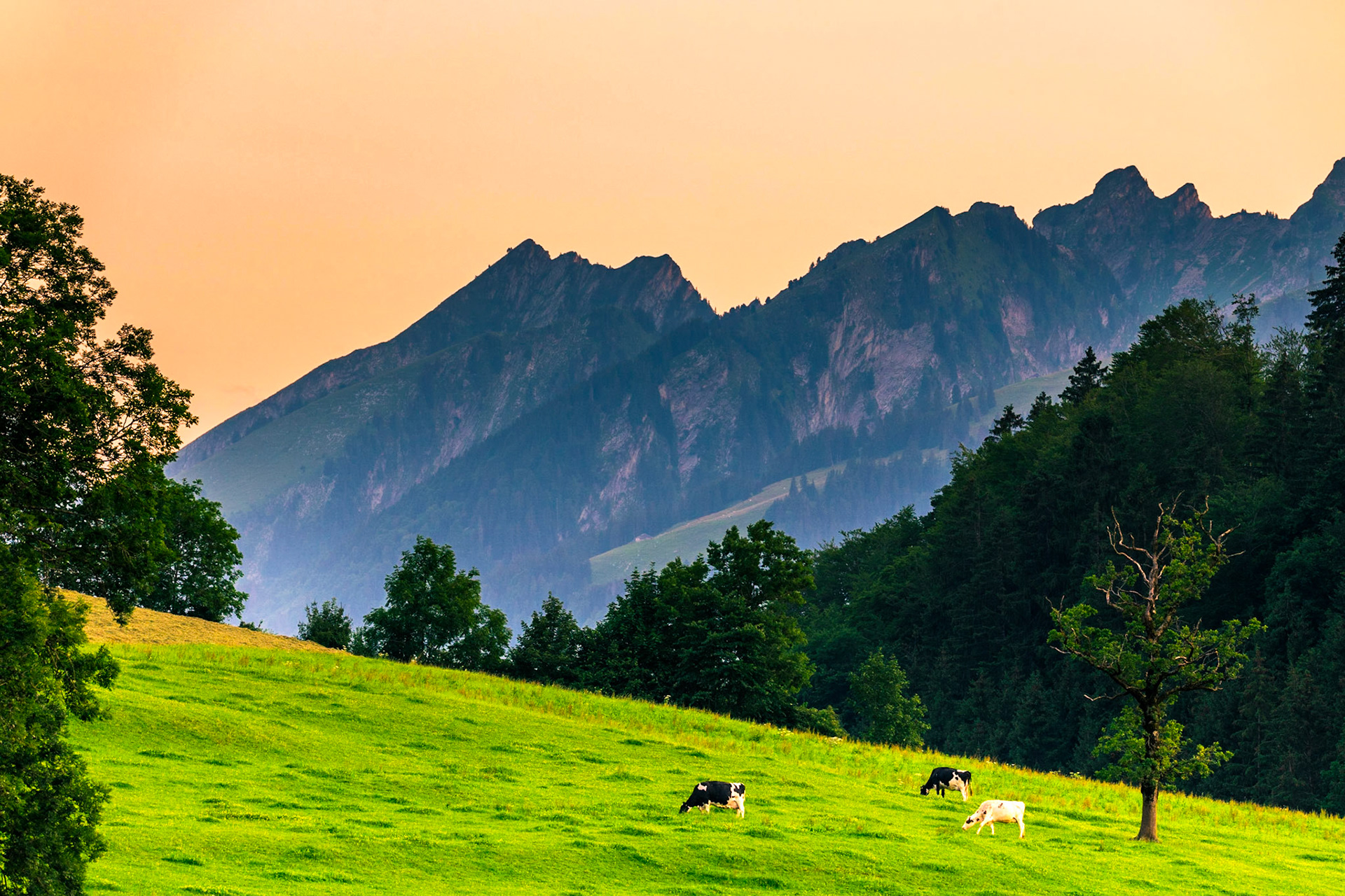 Fribourg - Switzerland