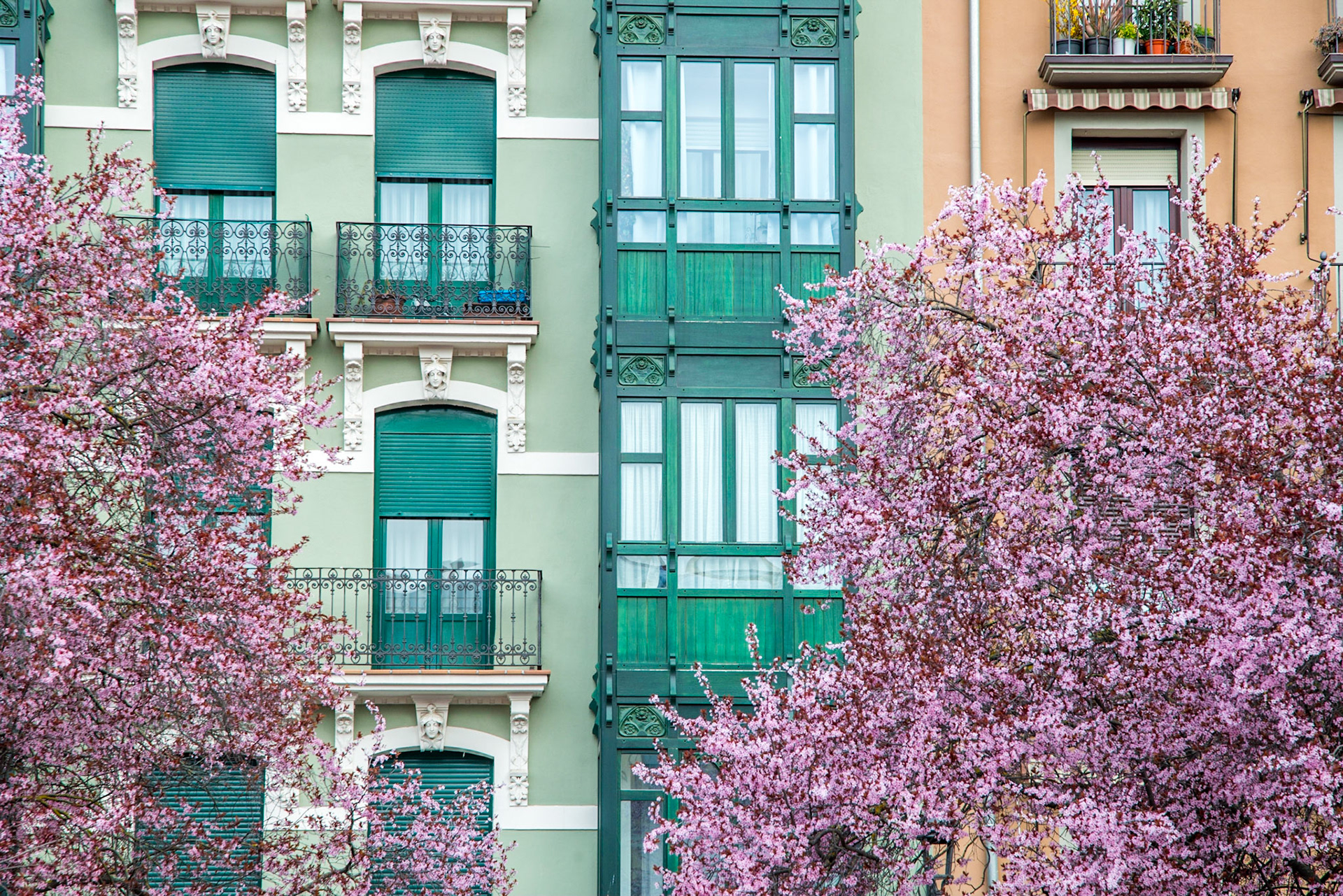 Pamplona - Spain