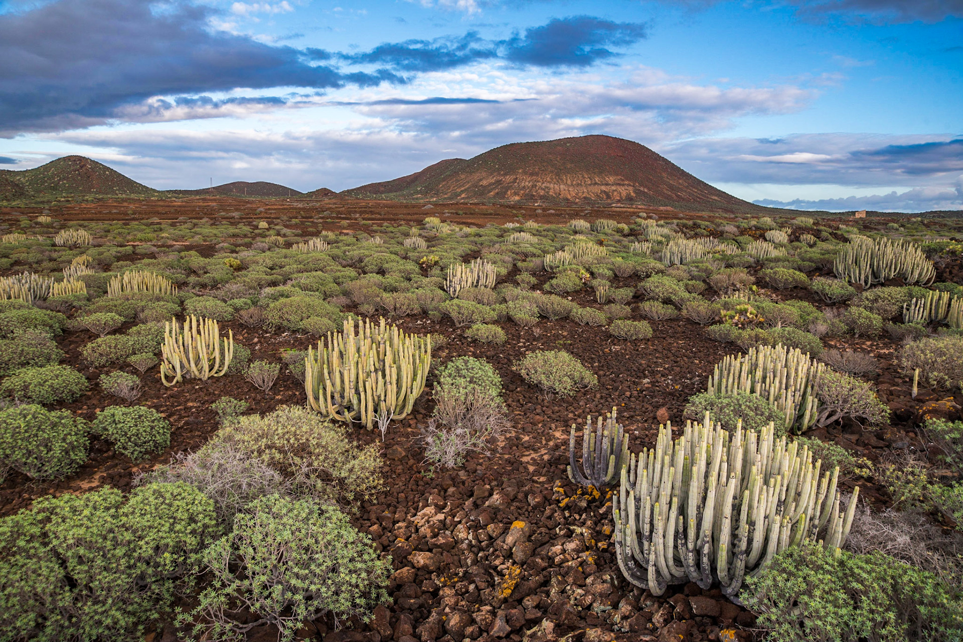 Tenerife - Canary Islands