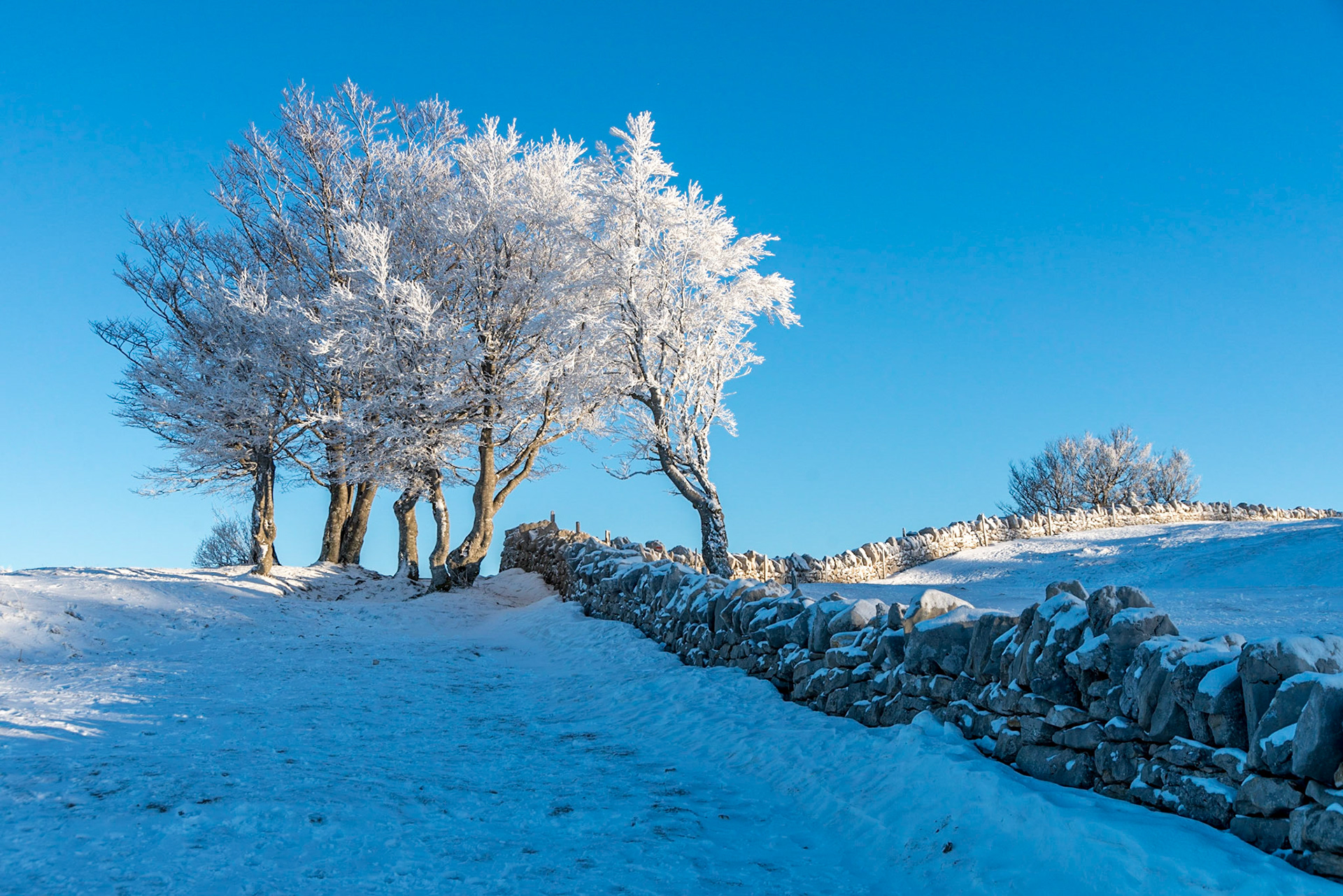 Vaud/Neuchâtel - Switzerland