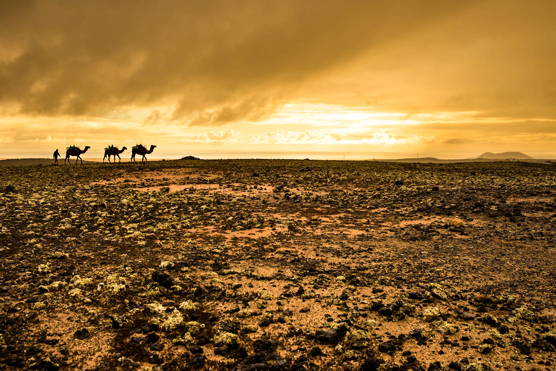 Fuerteventura - Canary Islands