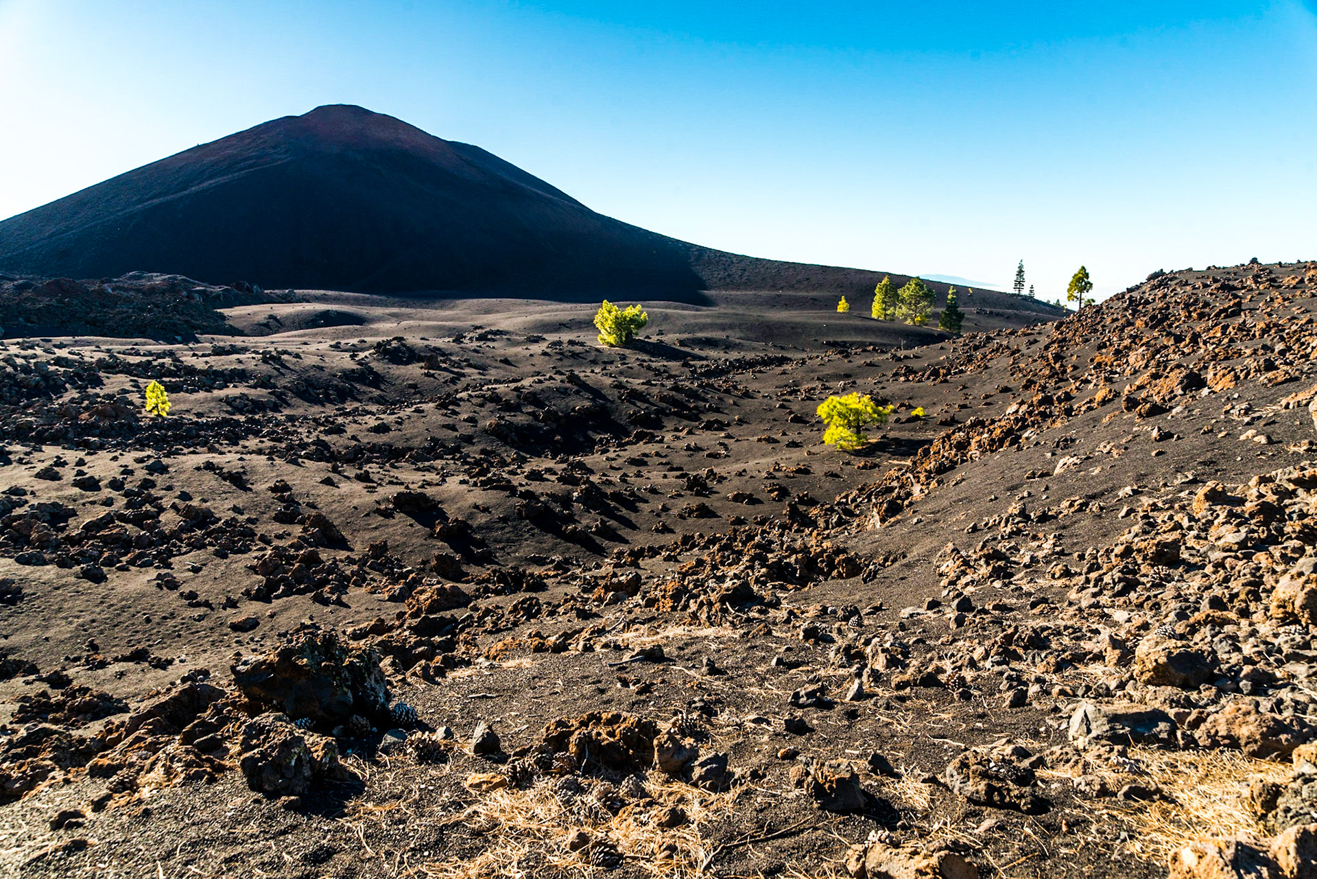 Tenerife - Canary Islands