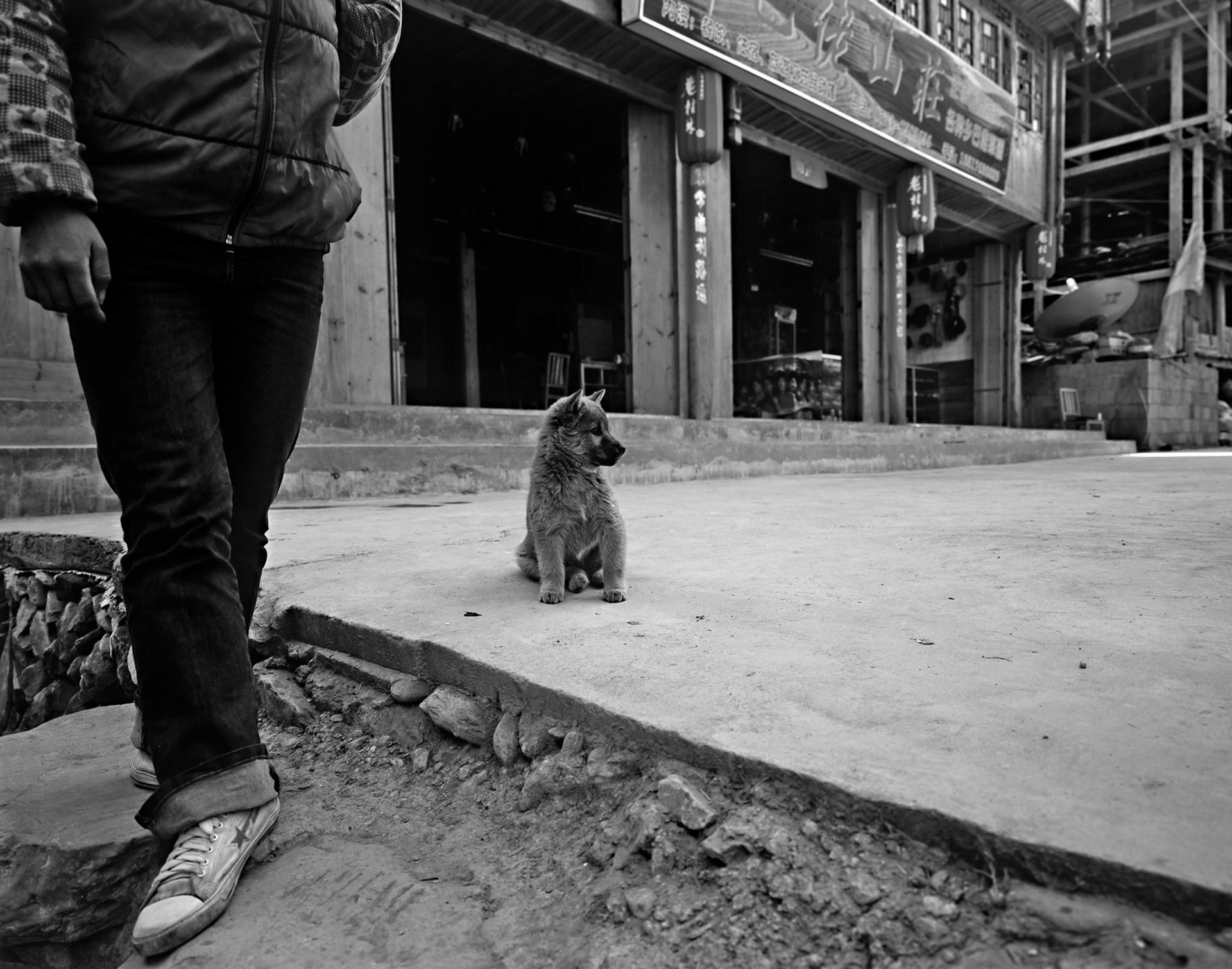Puppy sat on concrete forecourt of shop, with lower half of a young man visible standing to the left, Guilin, China