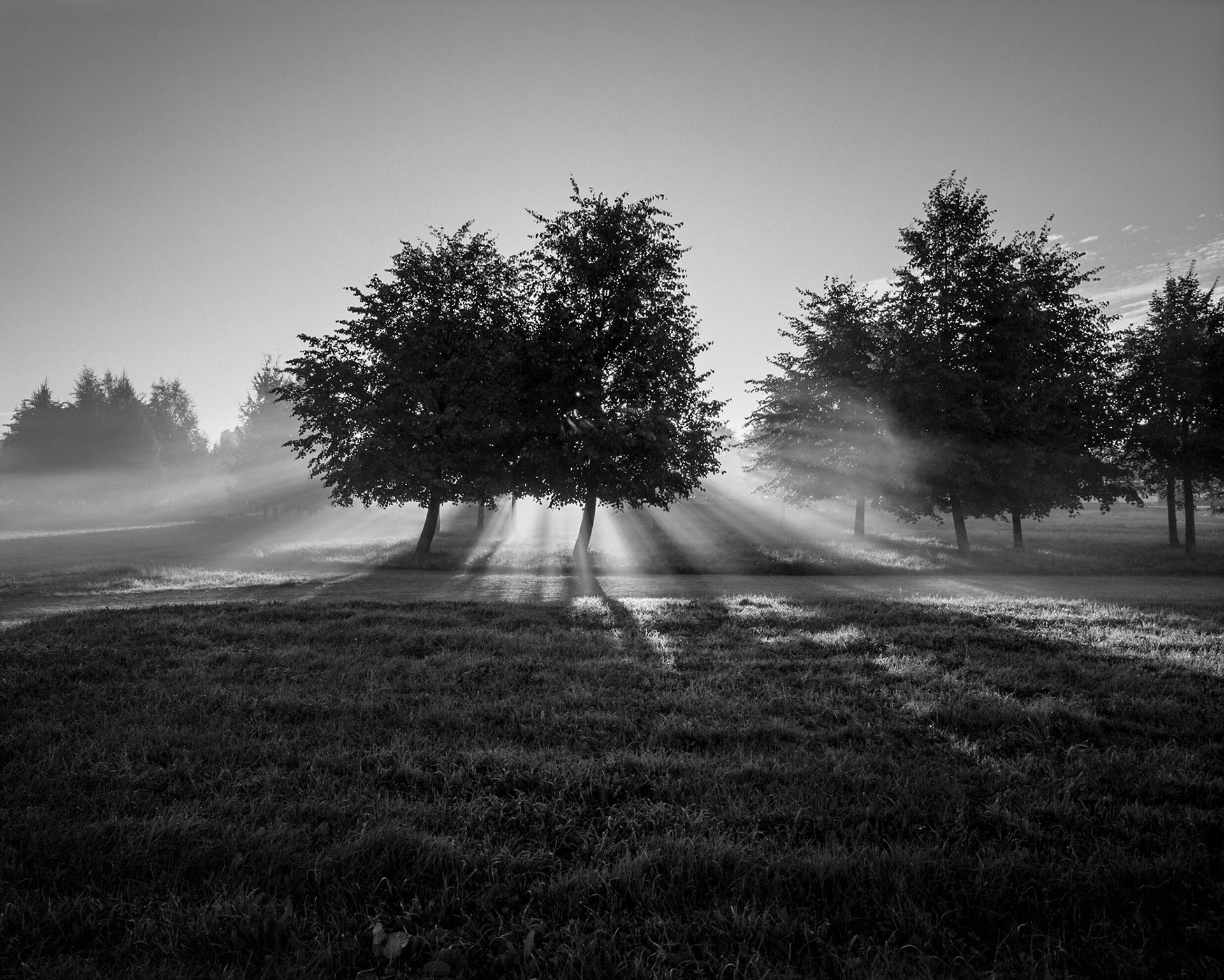 Park in St. Petersburg