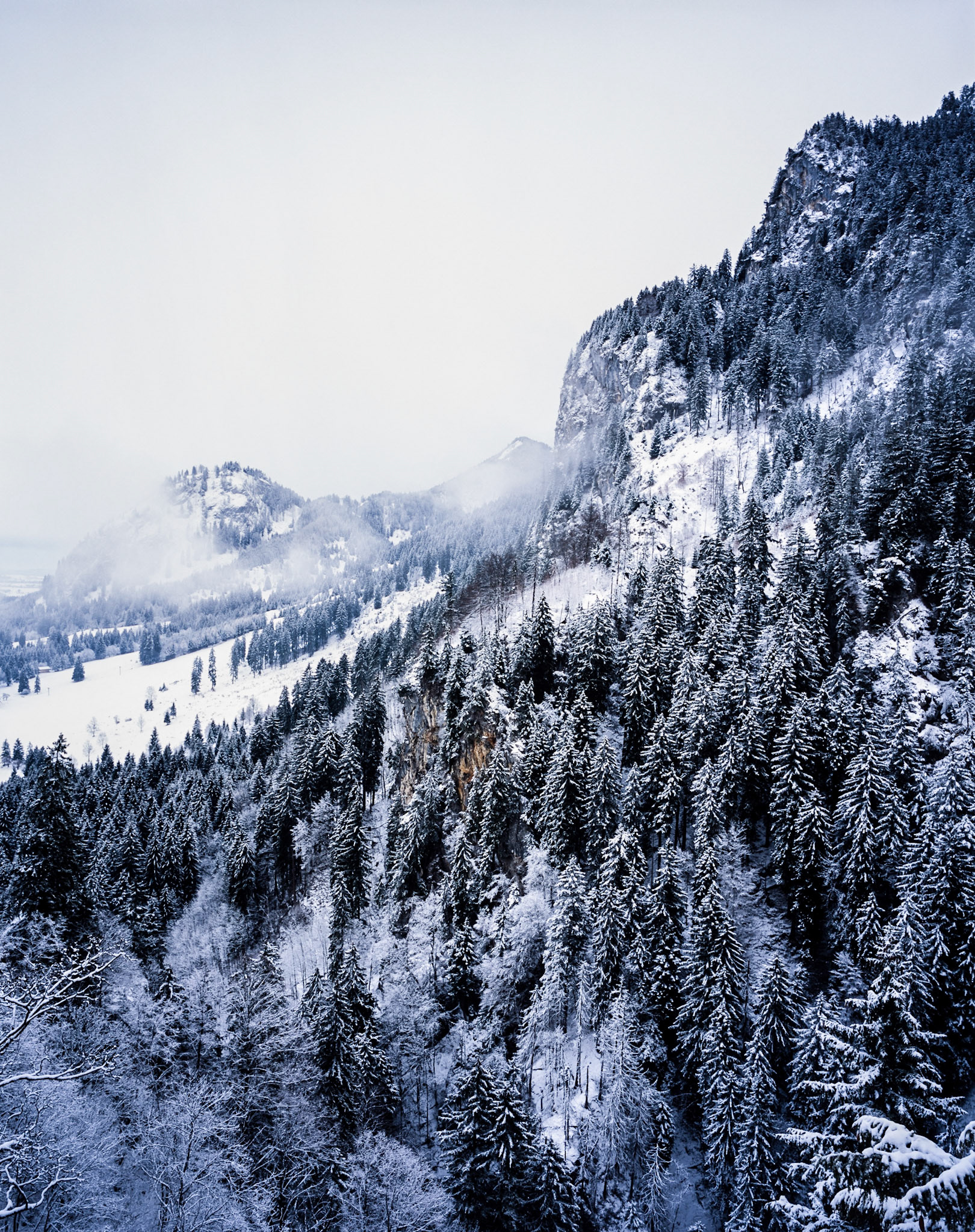 Woodland and hills in the Bavarian Alps
