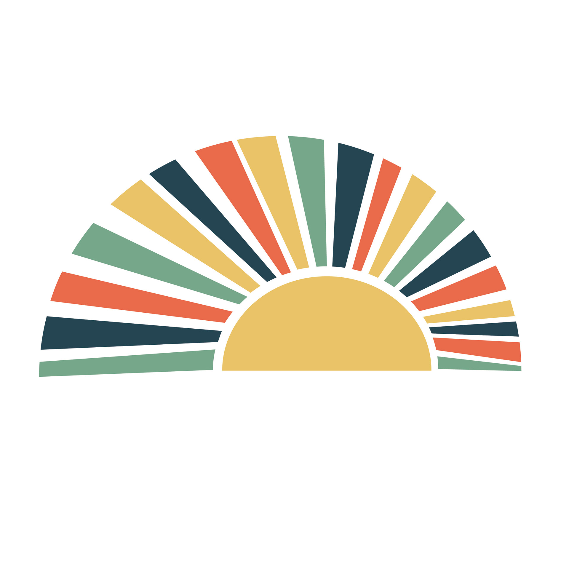 Icon Logo
