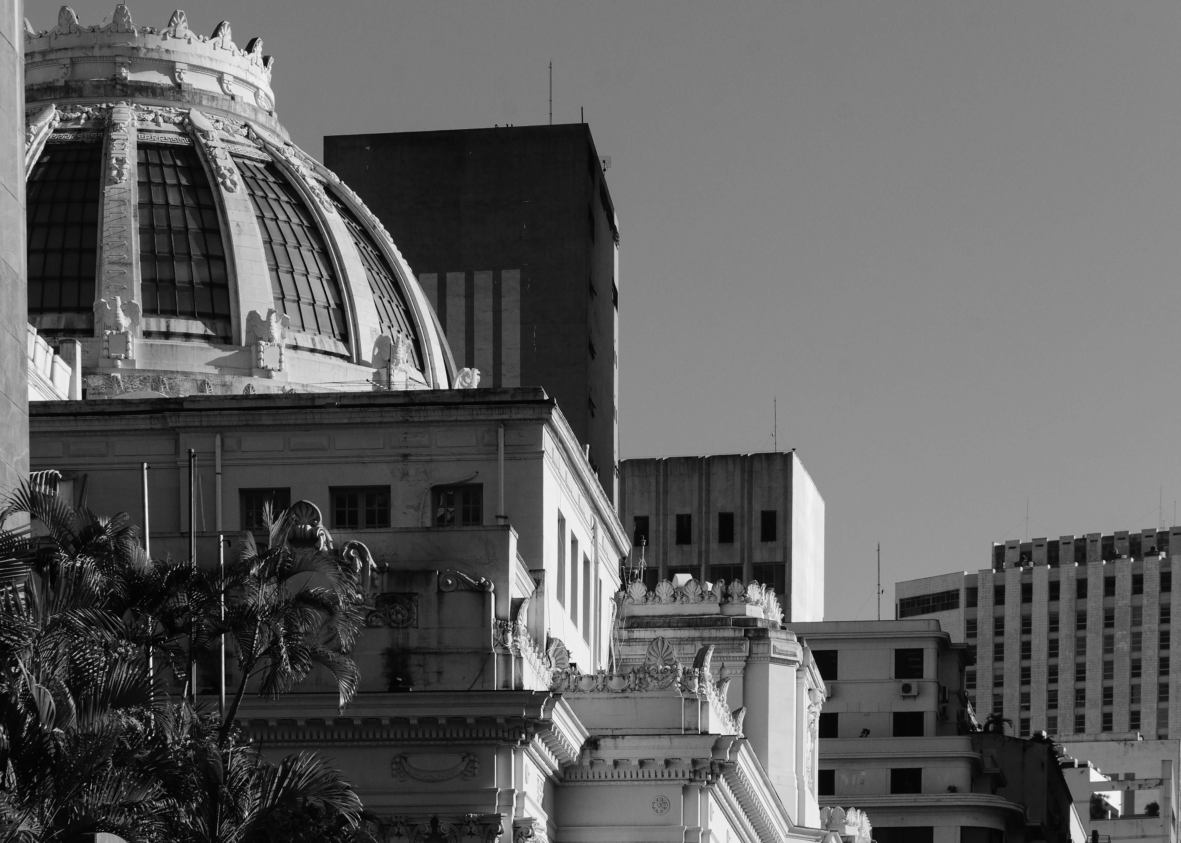 59,4 x 42 - Lei & Progresso