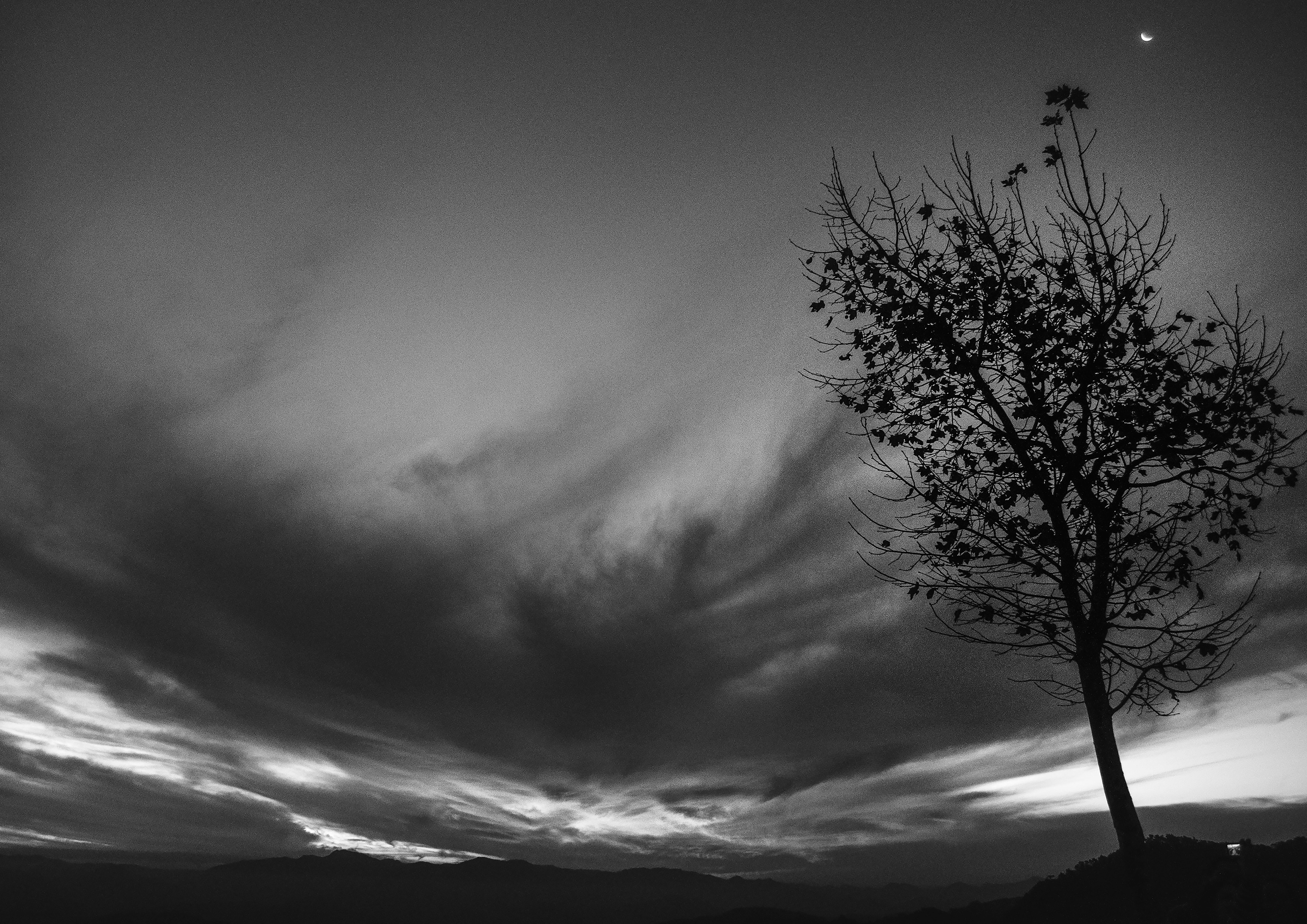 59,4 x 42 - Crepúsculo
