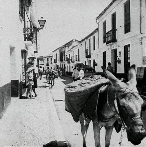 Við á aðalgötunni/We on the main street