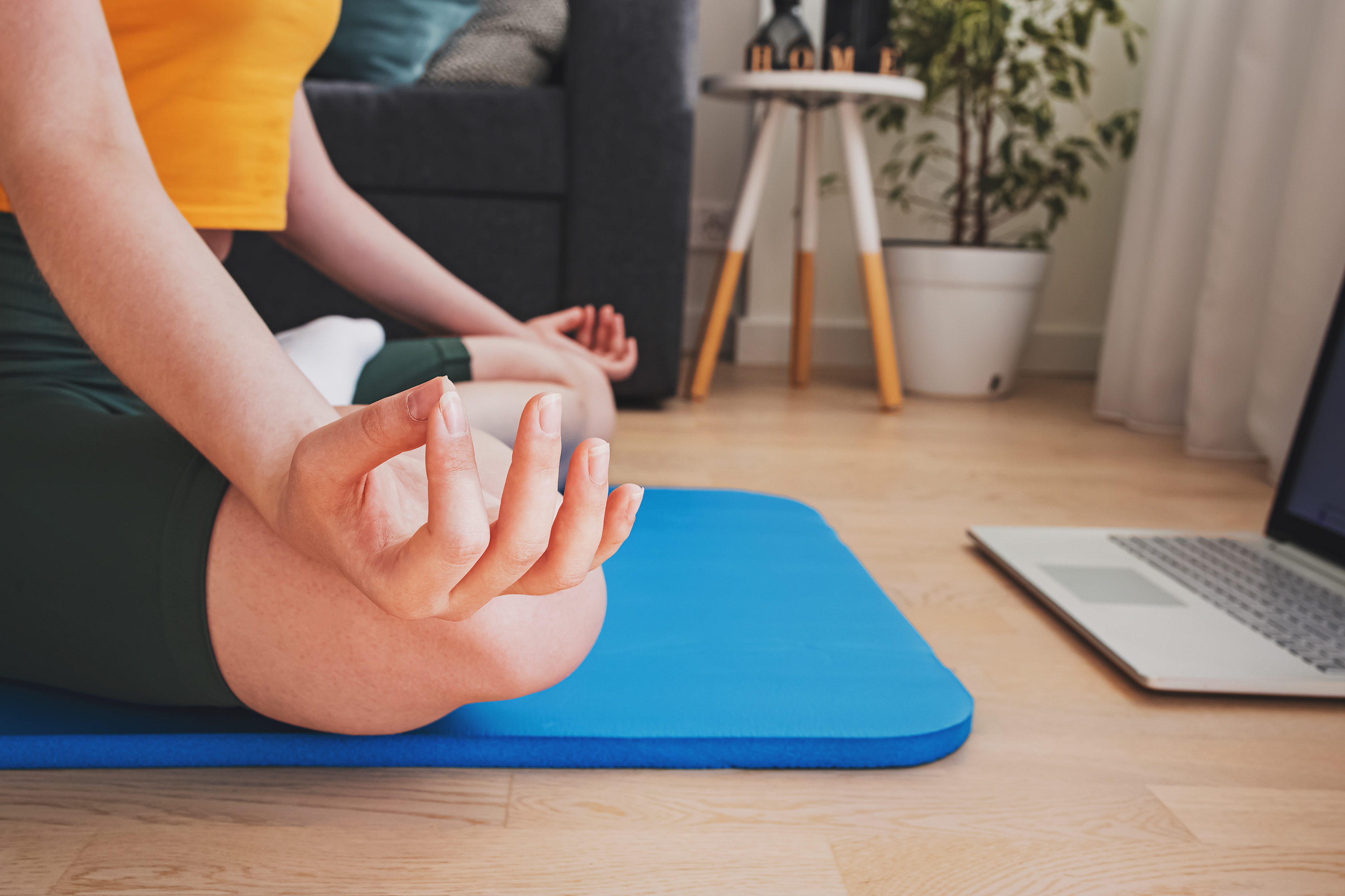 Wellness and yoga, home