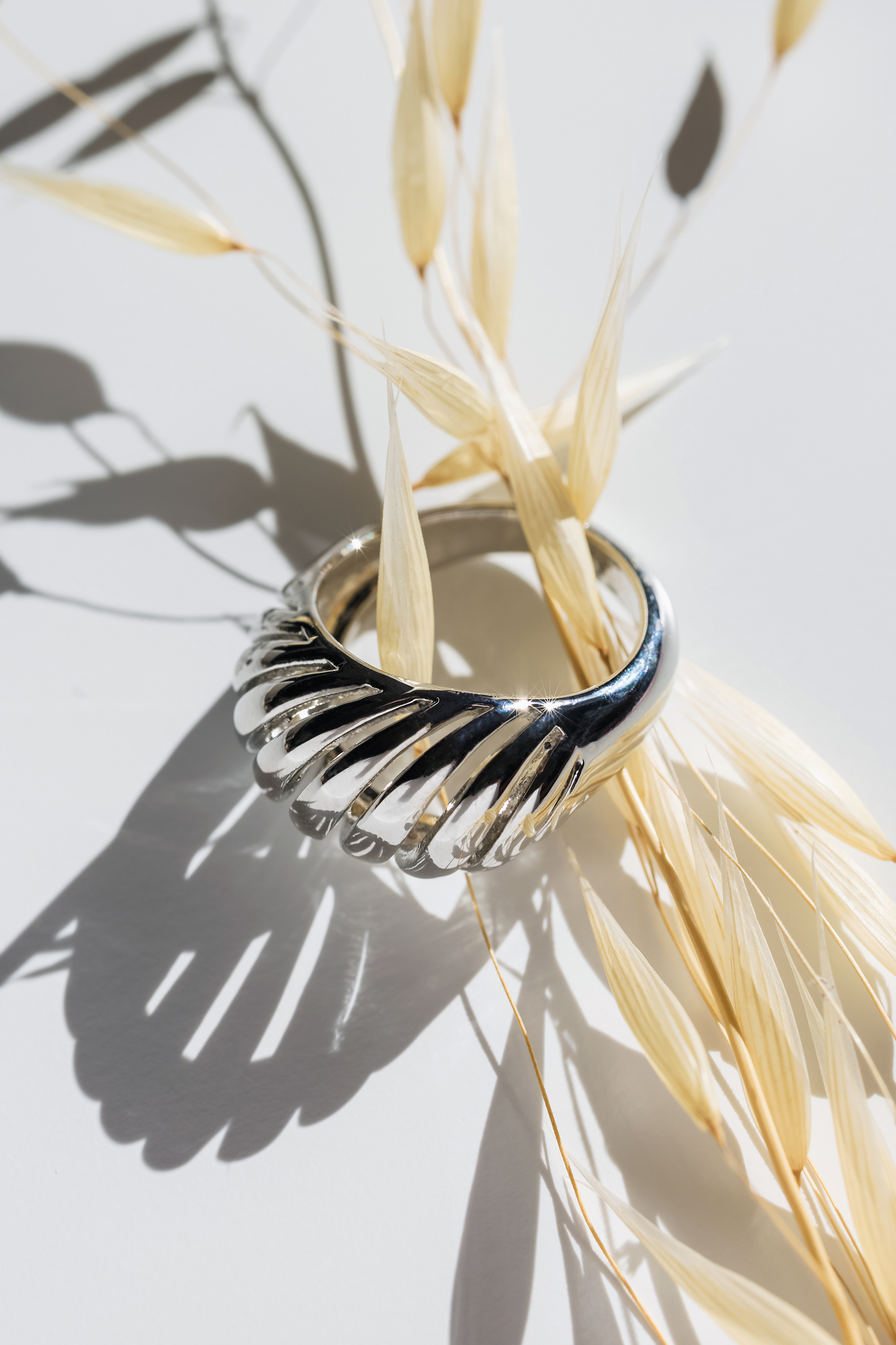 Still life -Ring close-up