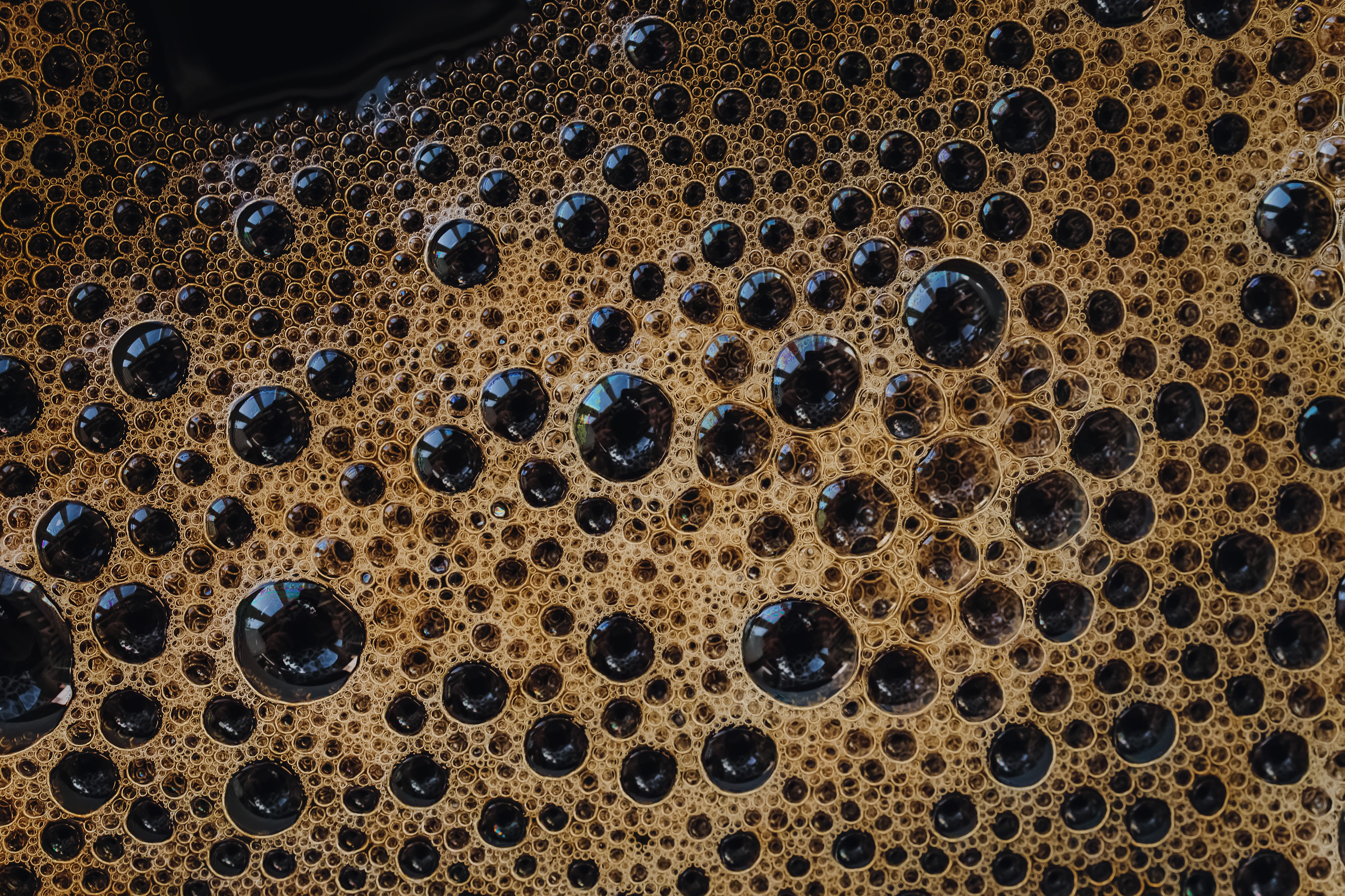 Coffee bubbles, macro