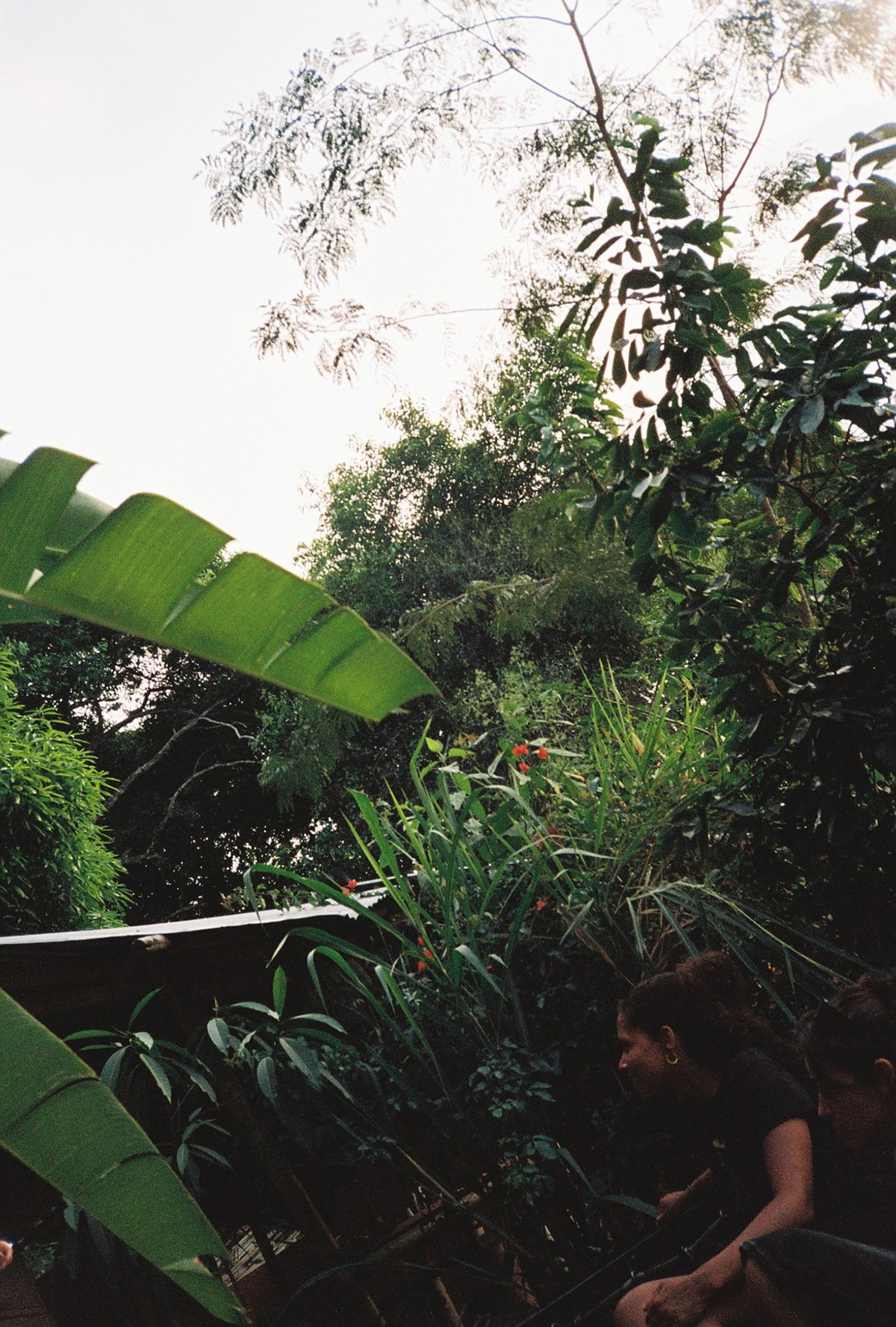 Minca, Colombia