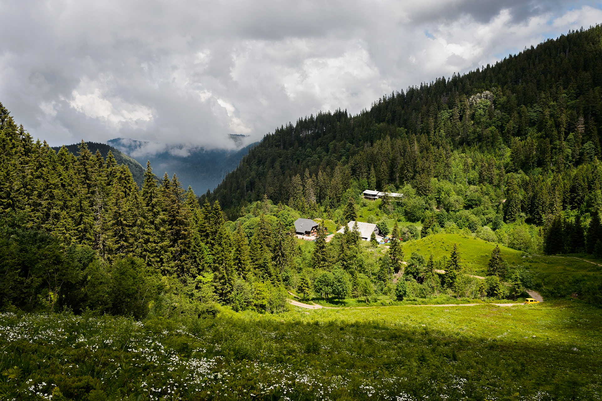 Paysages de Forêt Noire , Allemagne. Landschaften Schwarzwald, Deutschland