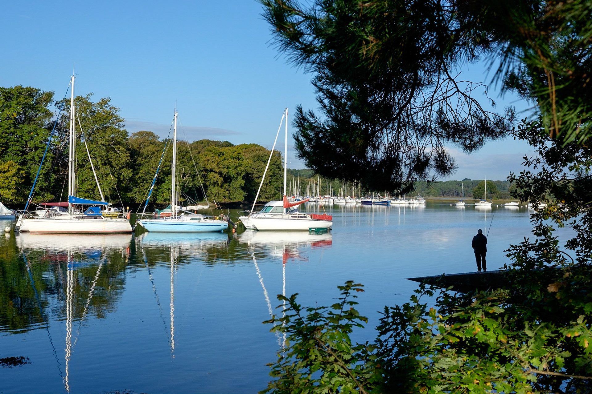 Presqu'île de Conleau. Golfe de Morbihan, Bretagne, France. / Conleau peninsula. Gulf of Morbihan, Brittany, France.
