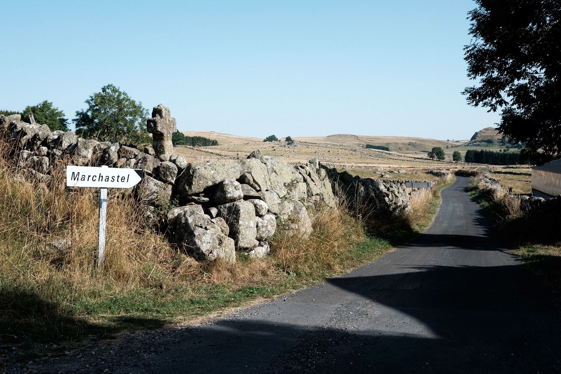 Aubrac, Cantal, Aubergne, France.