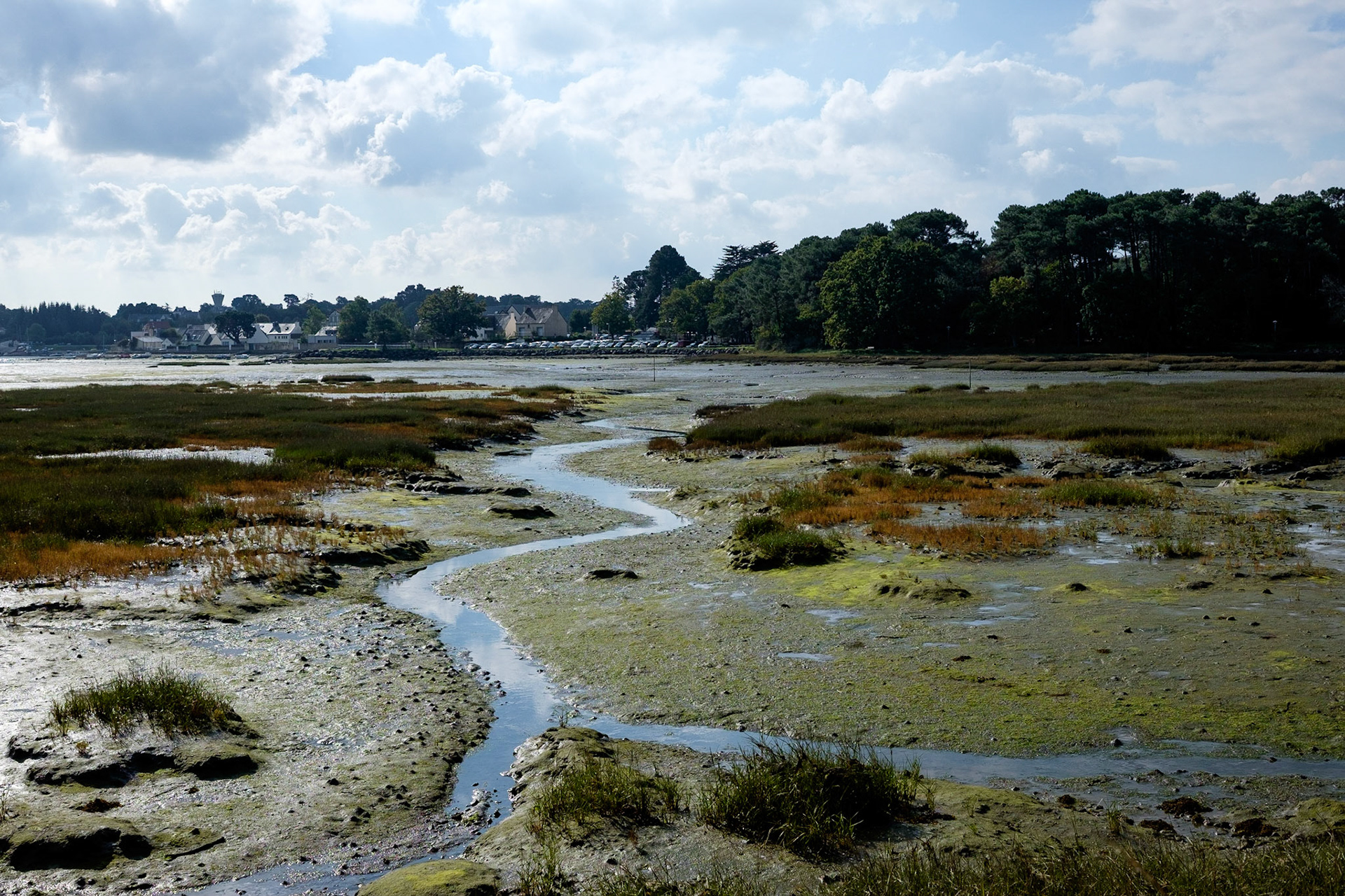 Presqu'île de Conleau, marée basse. Golfe de Morbihan, Bretagne, France. / Conleau peninsula, low tide. Gulf of Morbihan, Brittany, France.