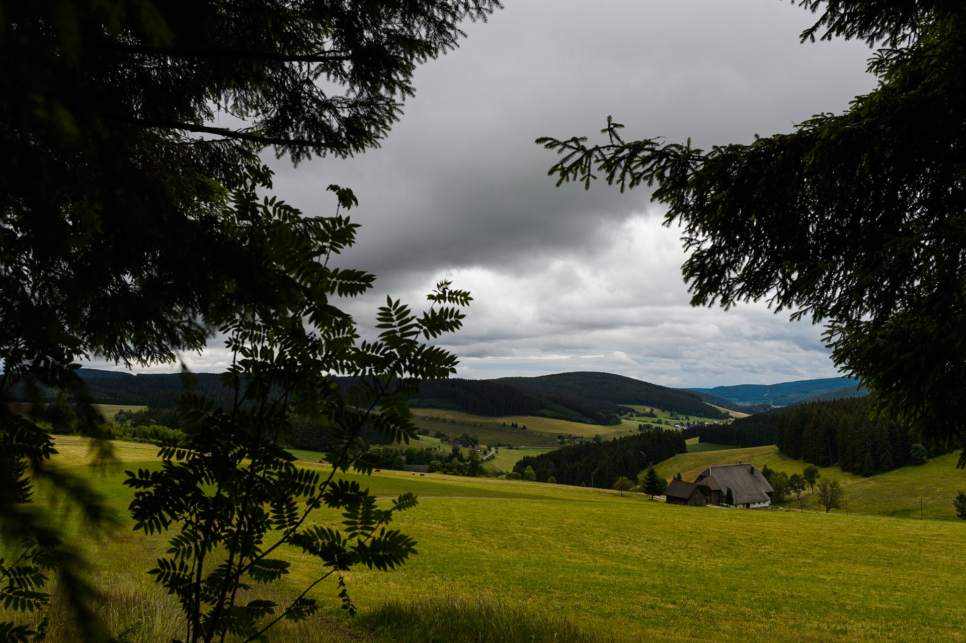 Paysages de Forêt Noire , Allemagne. Landschaften Schwarzwald, Deutschland