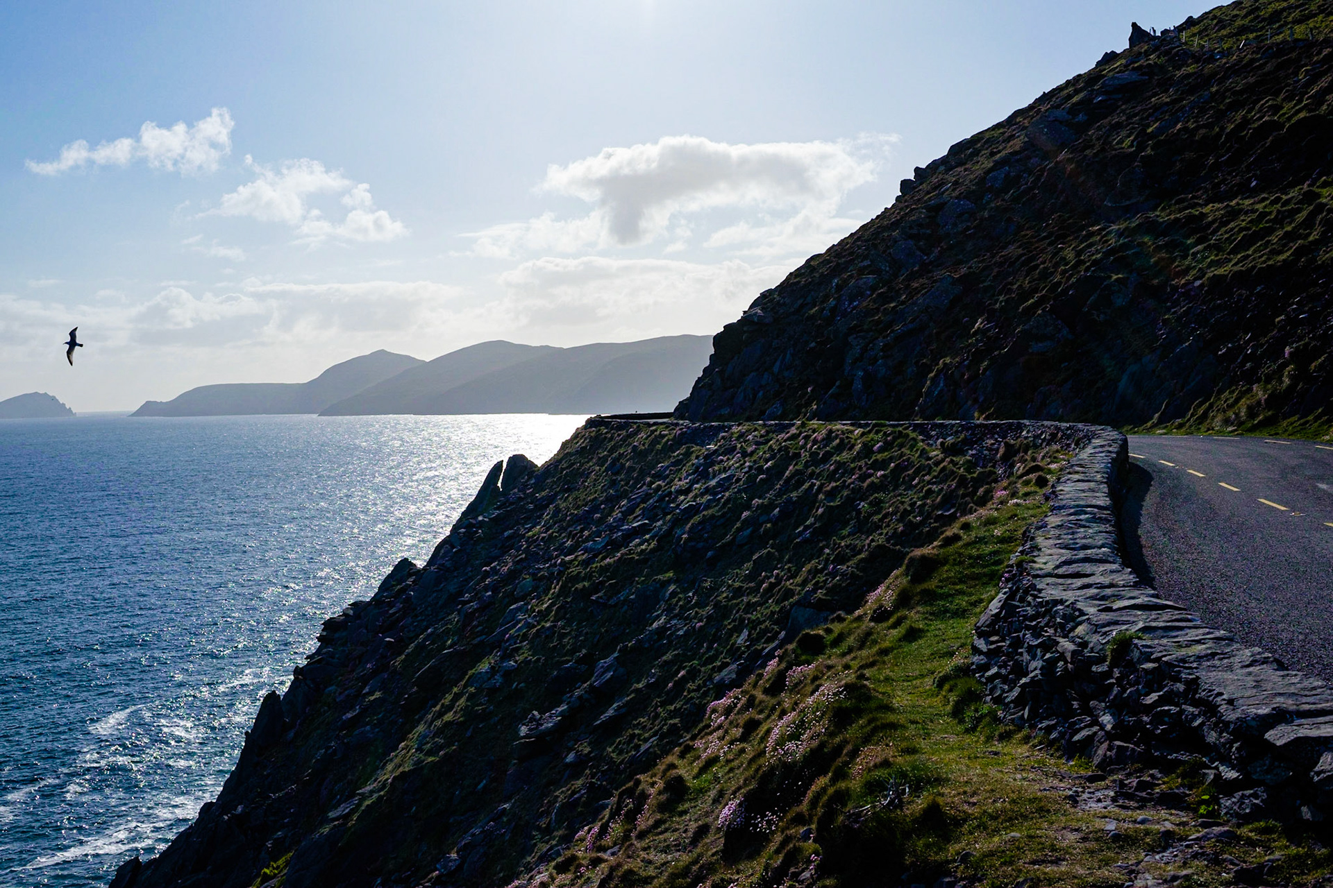 Dingle, Irlande