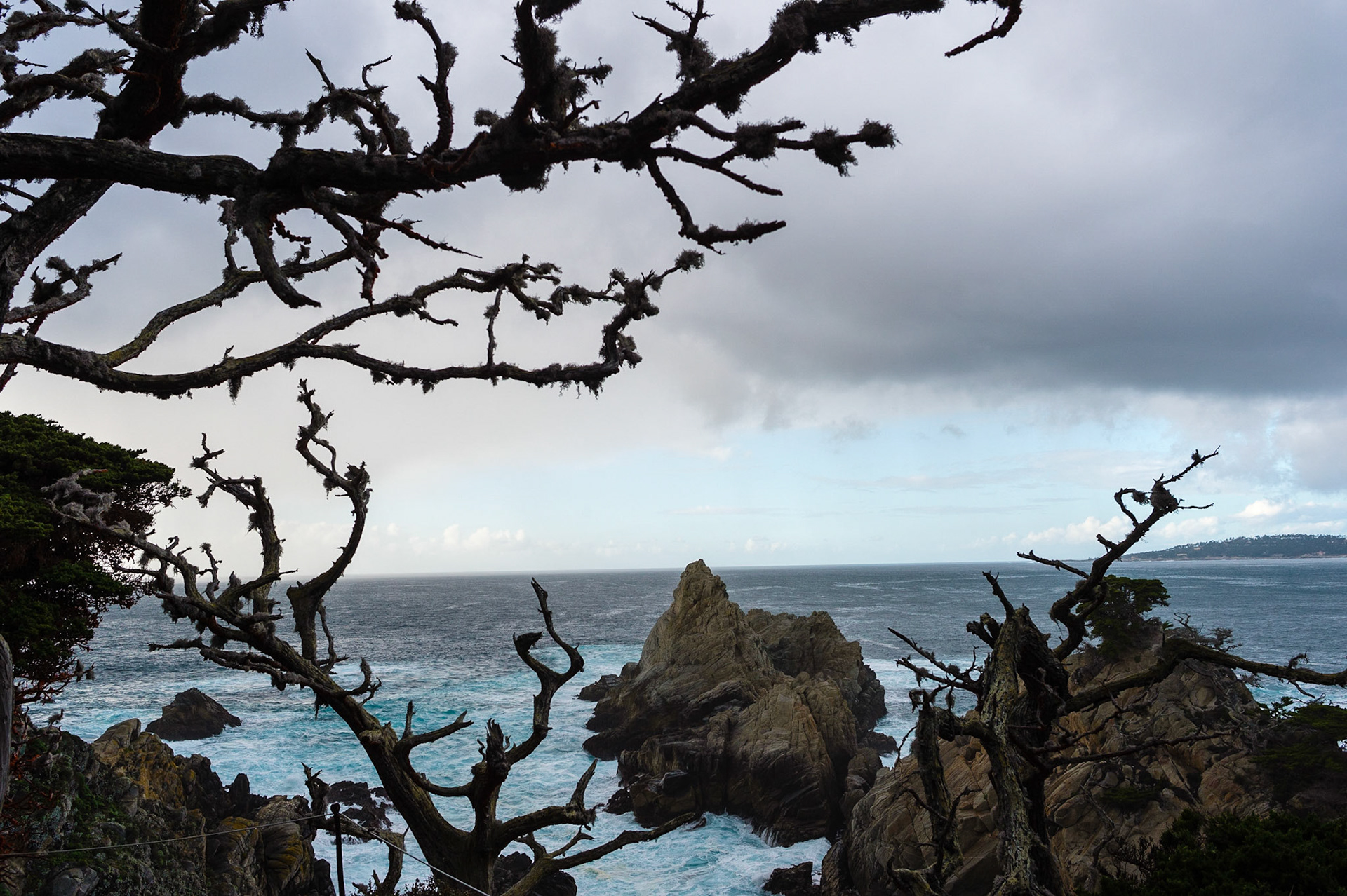 Point Lobos State Reserve, Carmel-by-the-Sea, Californie, USA.