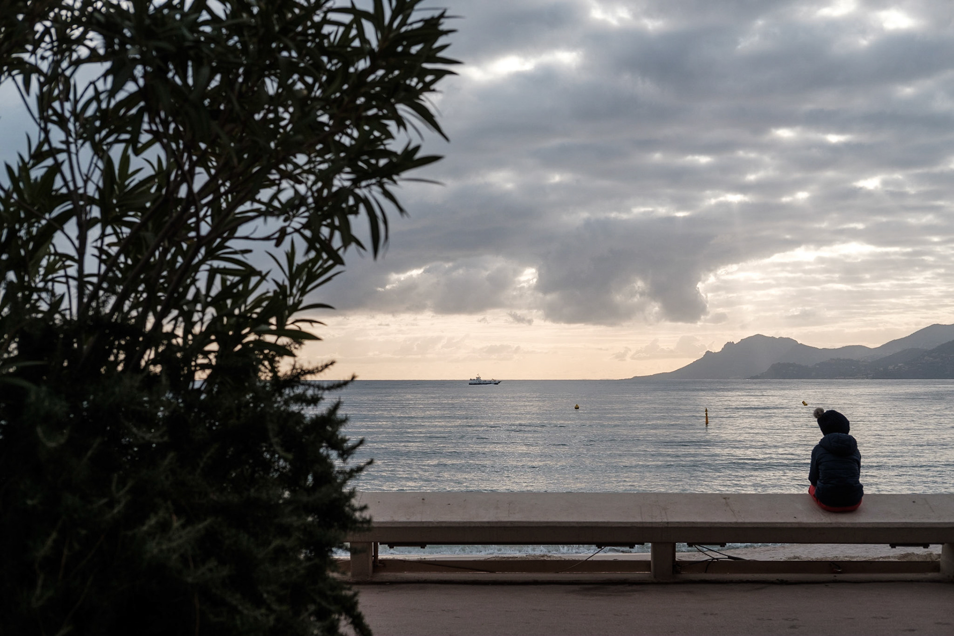 Cannes, Alpes Maritmes, France