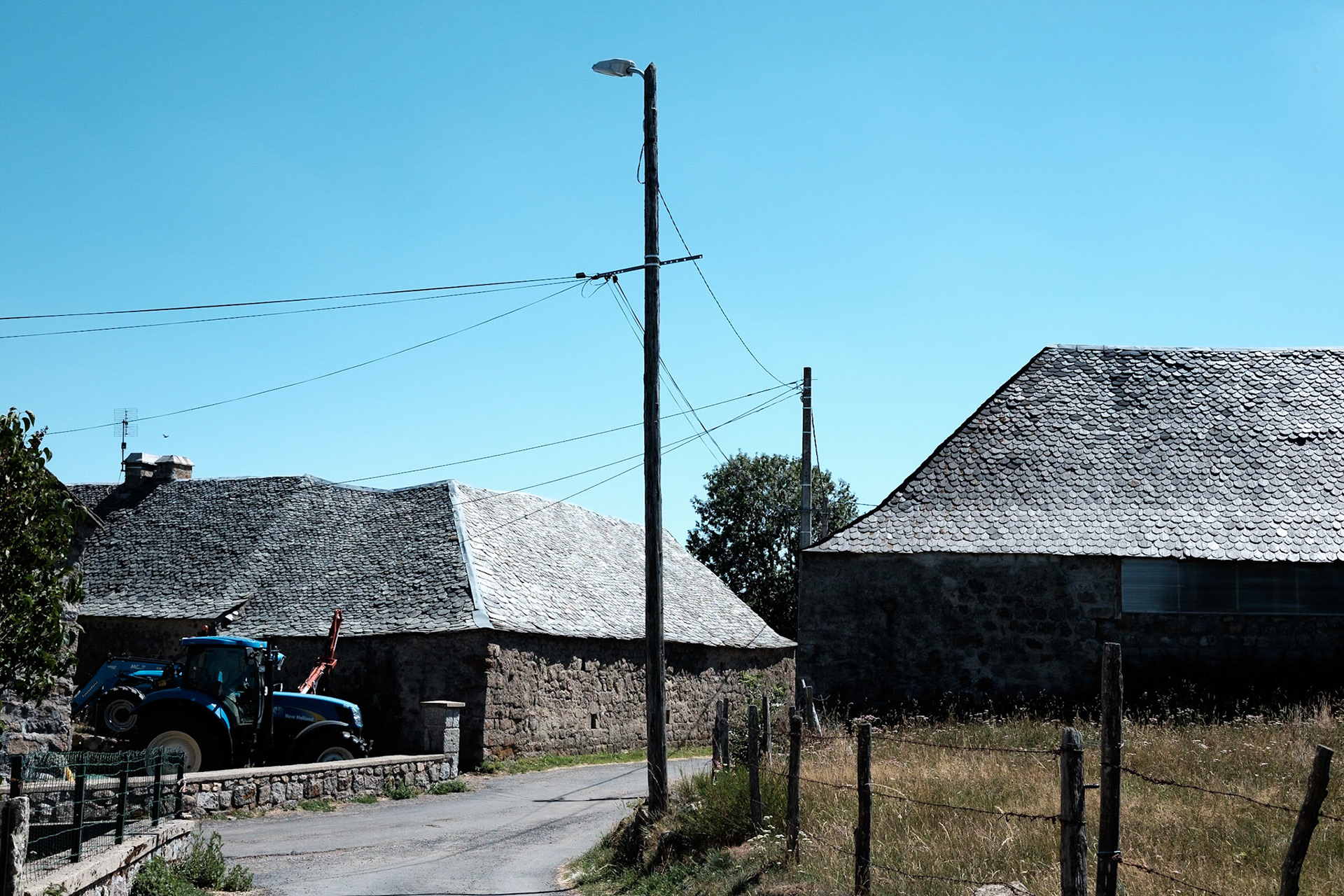 Aubrac, Cantal, Aubergne, France.