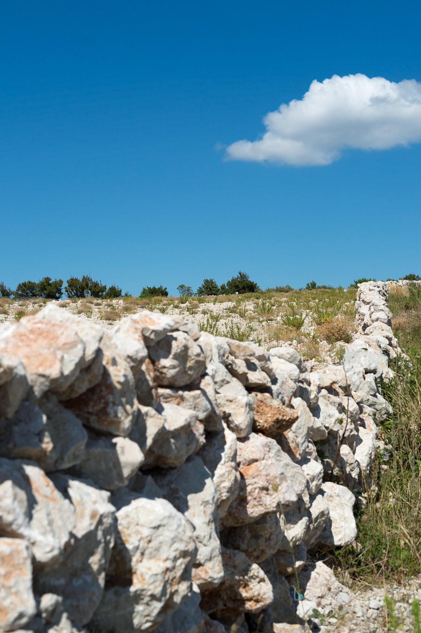 Ile de Cres, Croatie. / Island Cres, Croatia.
