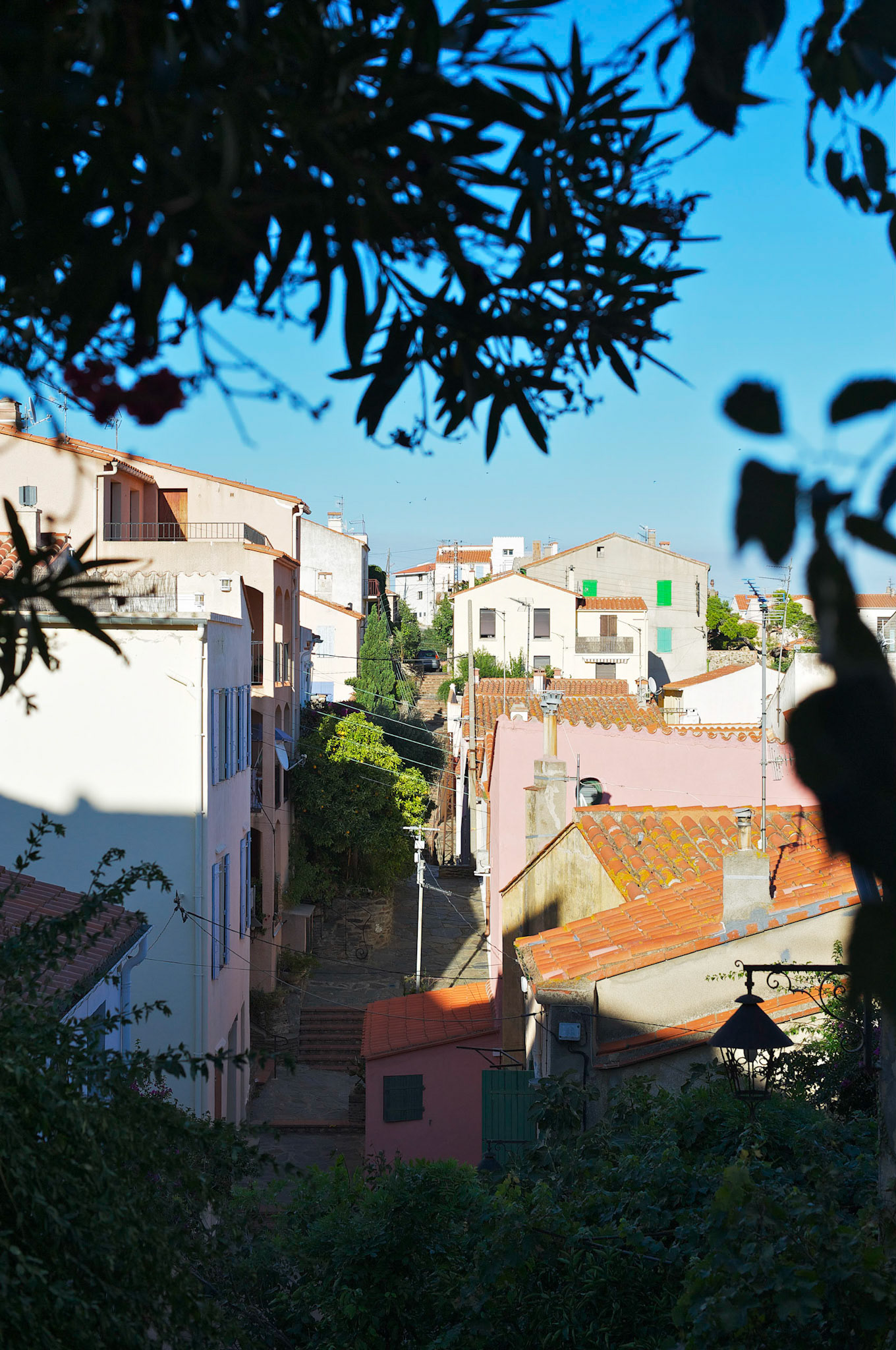 Banyuls-sur-Mer , Pyrenees Orientales, France.