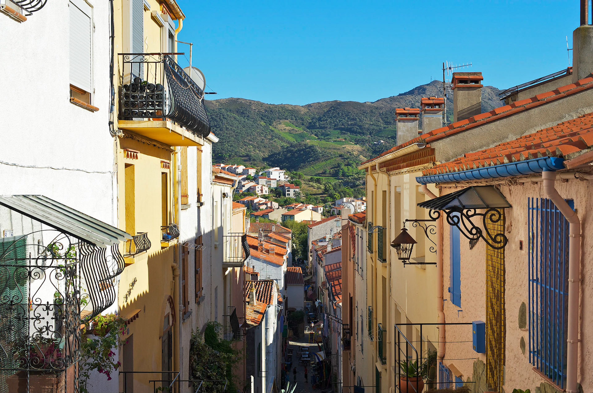 Banyuls-sur-Mer , Pyrenees Orientales, France.