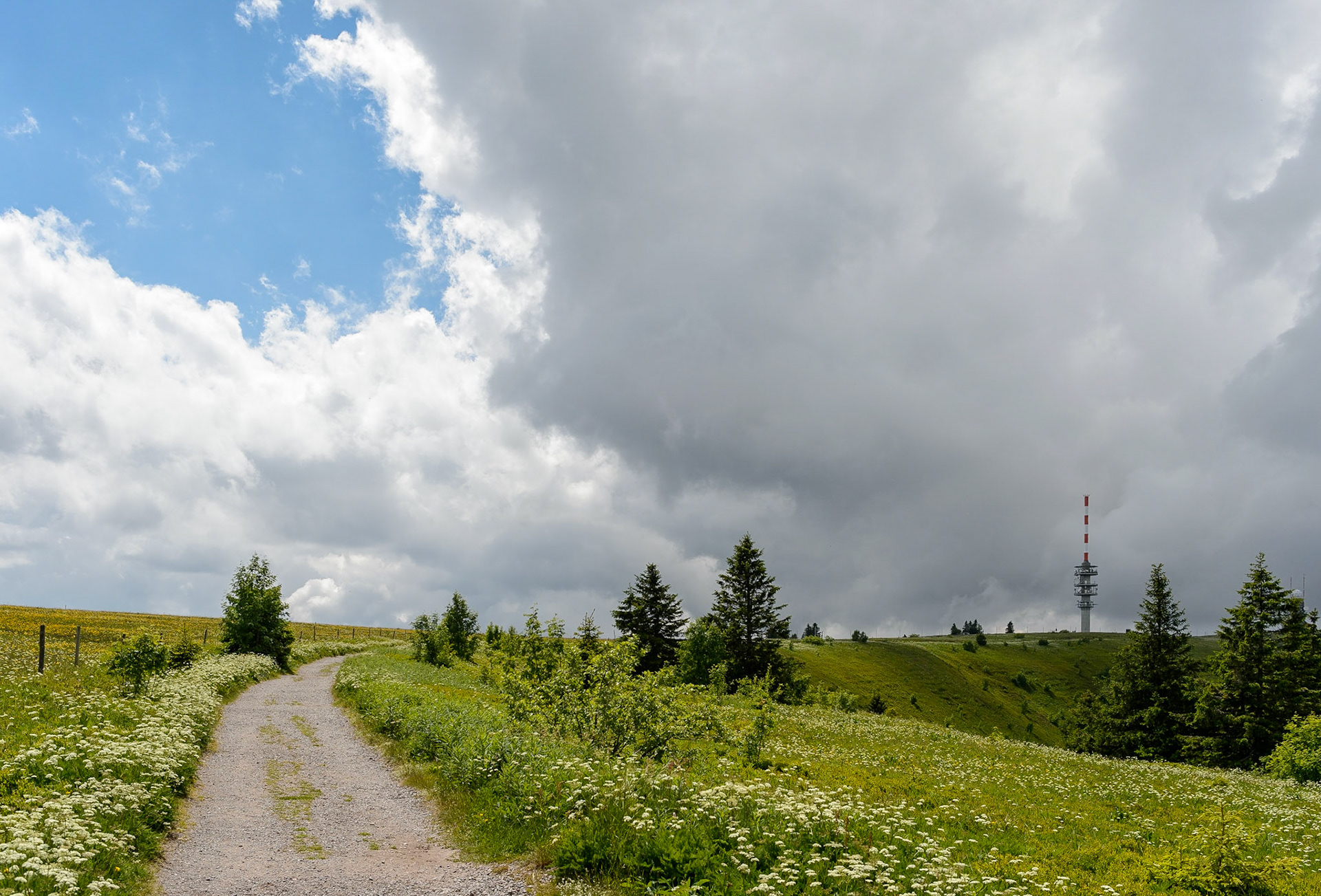 Paysages de Forêt Noire , Allemagne. Landschaften Schwarzwald, Deutschland