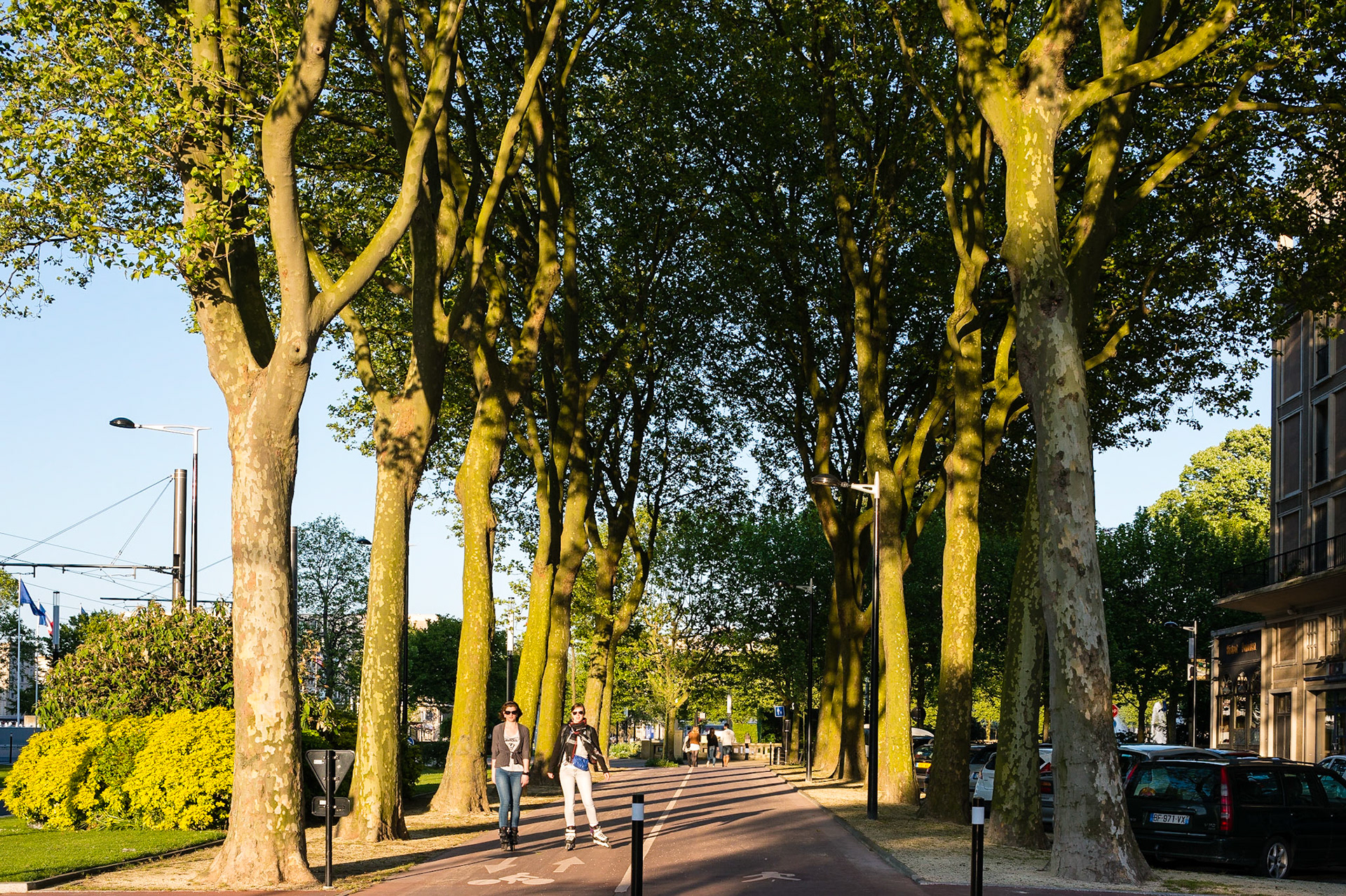 Le Havre. Avenue Foch, cette magnifique avenue comparable par ses dimensions aux Champs Elysées à Paris, relie la Place de l'Hôtel de Ville à la Porte Océane et à la plage du Havre.  Le Havre. Avenue Foch, this magnificent comparable in dimensions to the Champs Elysees avenue in Paris, links the Place de l'Hotel de Ville in the Ocean Gate and the beach of Le Havre.