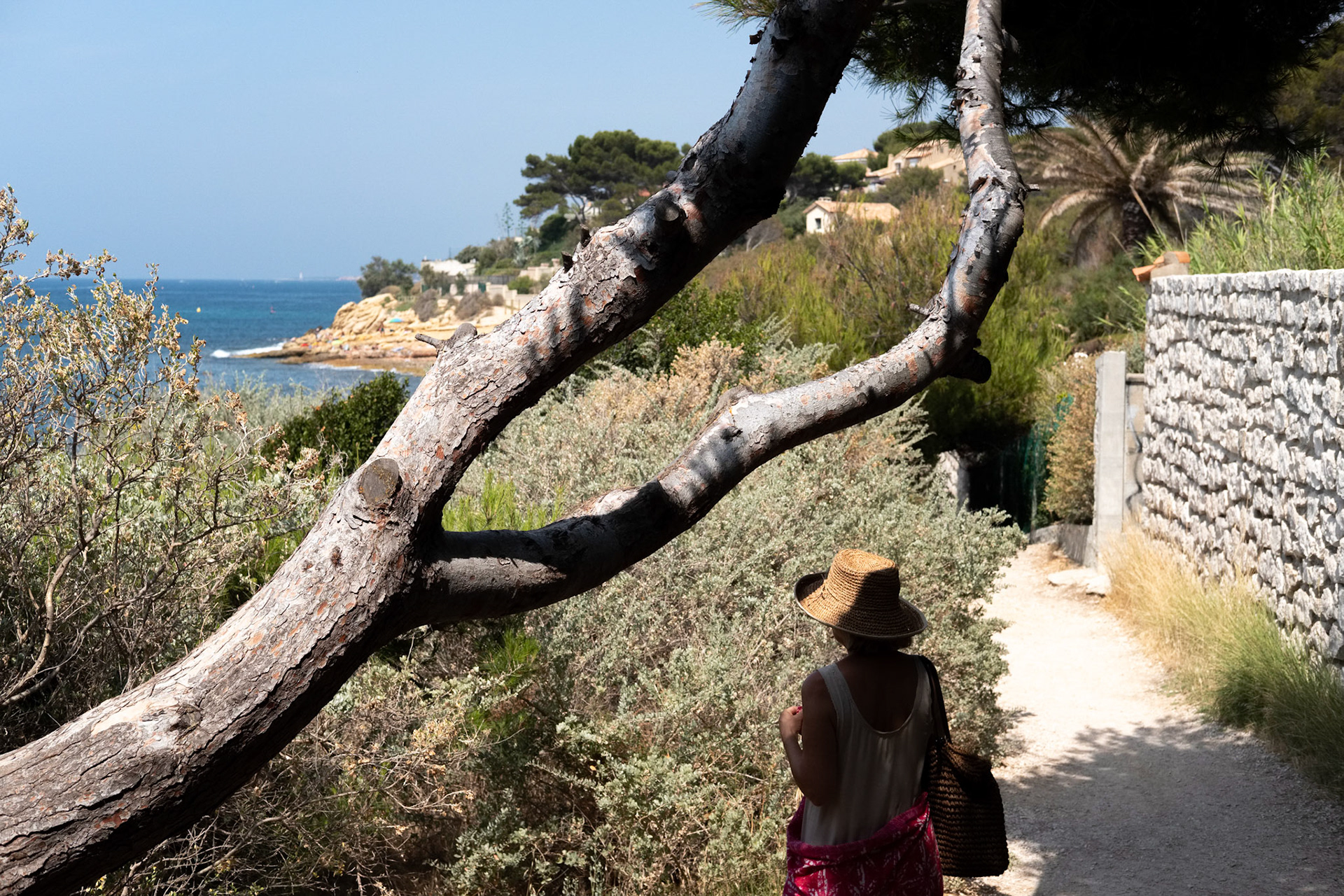 Le sentier du Littoral, Carry Le Rouet, Carry-Le-Rouet, Bouches du Rhône, France.
