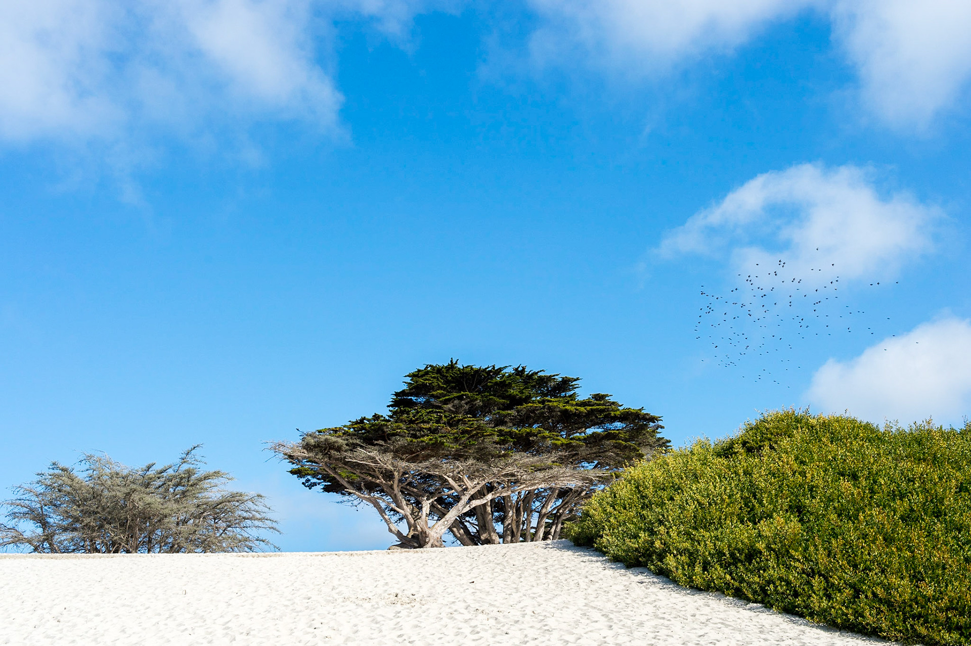 Carmel-by-the-Sea, Californie, USA.