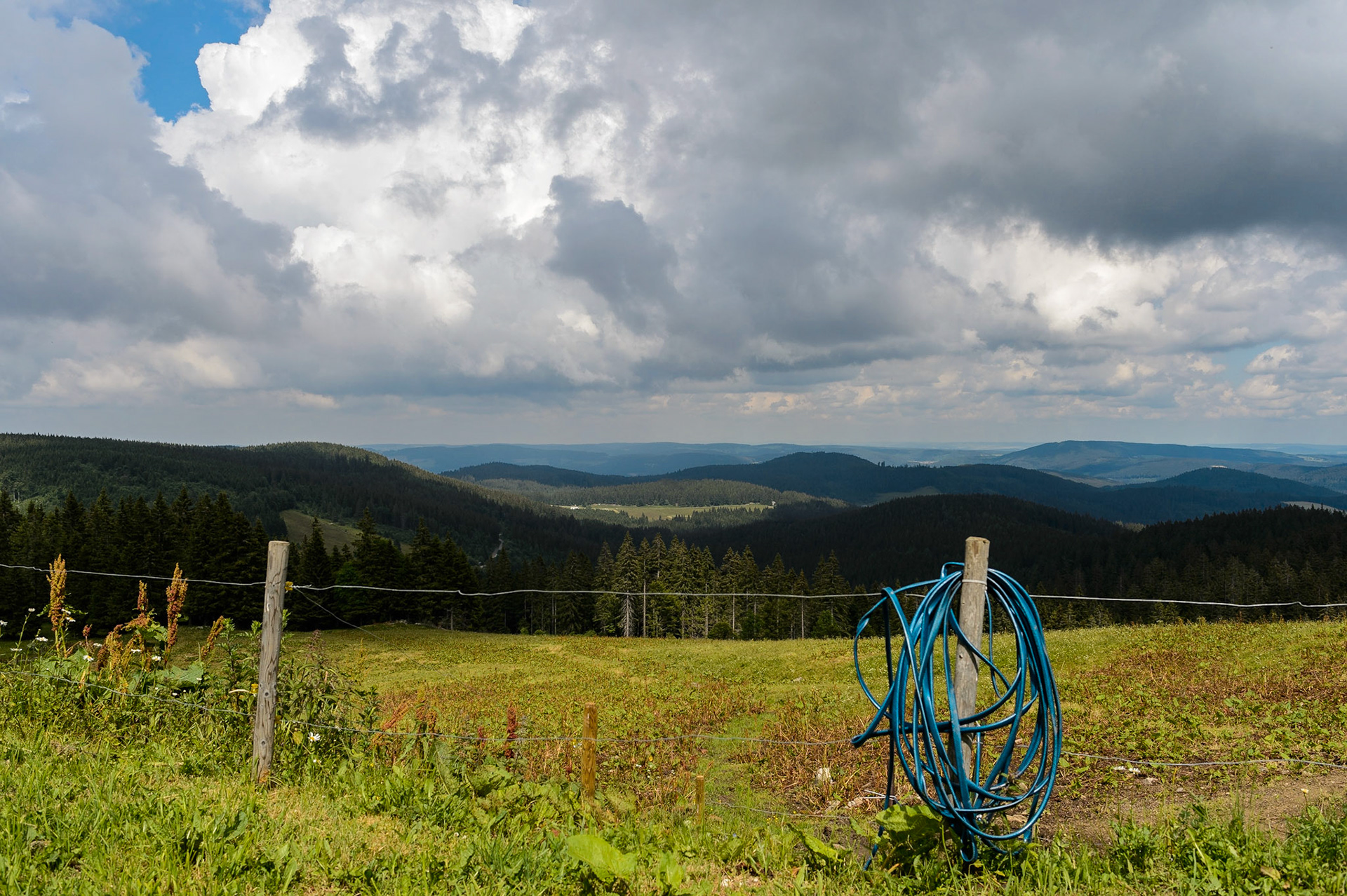 Paysages de Forêt Noire , Allemagne. Landschaften Schwarzwald, Deutschland
