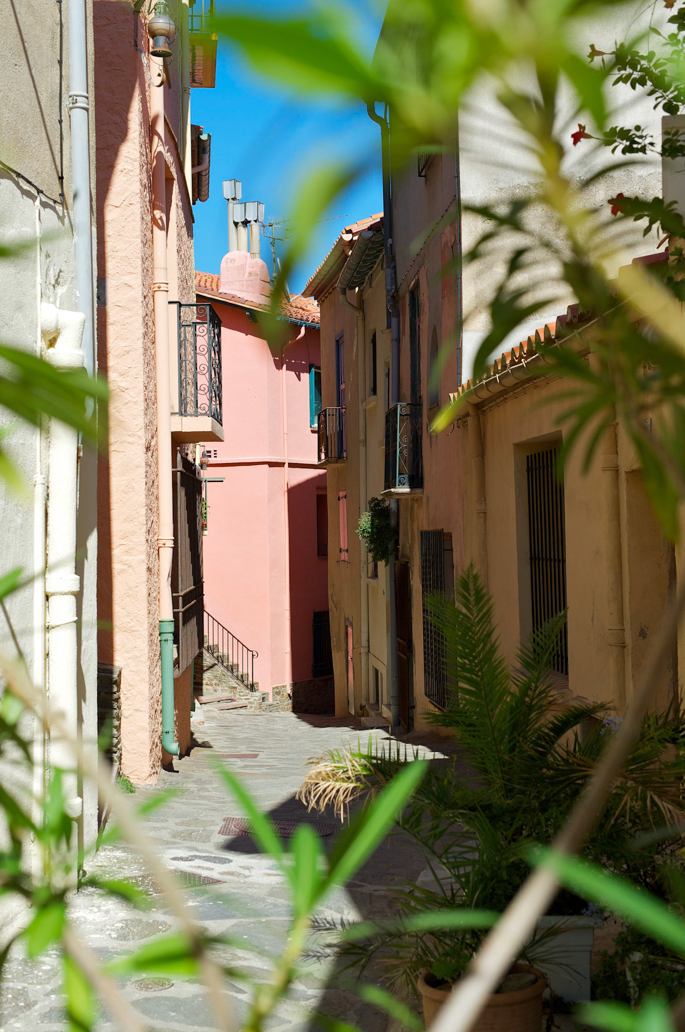Collioure, Pyrenees Orientales, France
