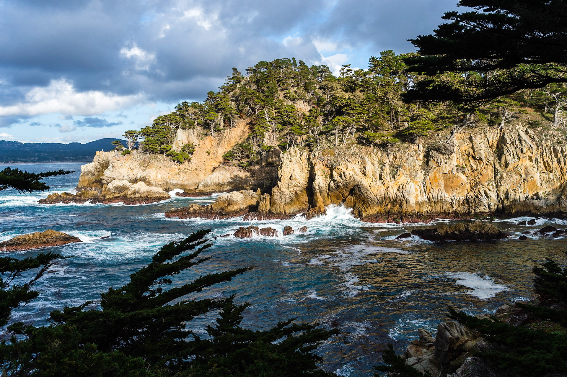 Point Lobos, Californie, USA.