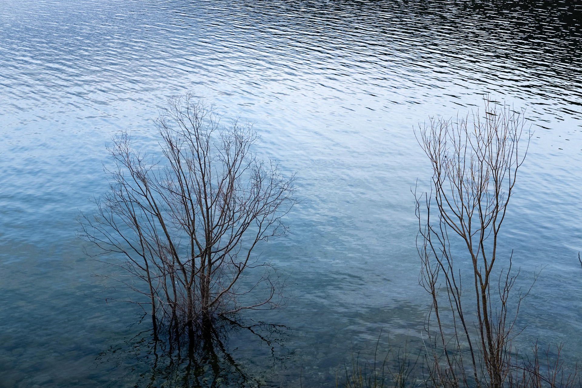 Le Lac de Sainte Croix en hiver près de Bauduen, Var, France