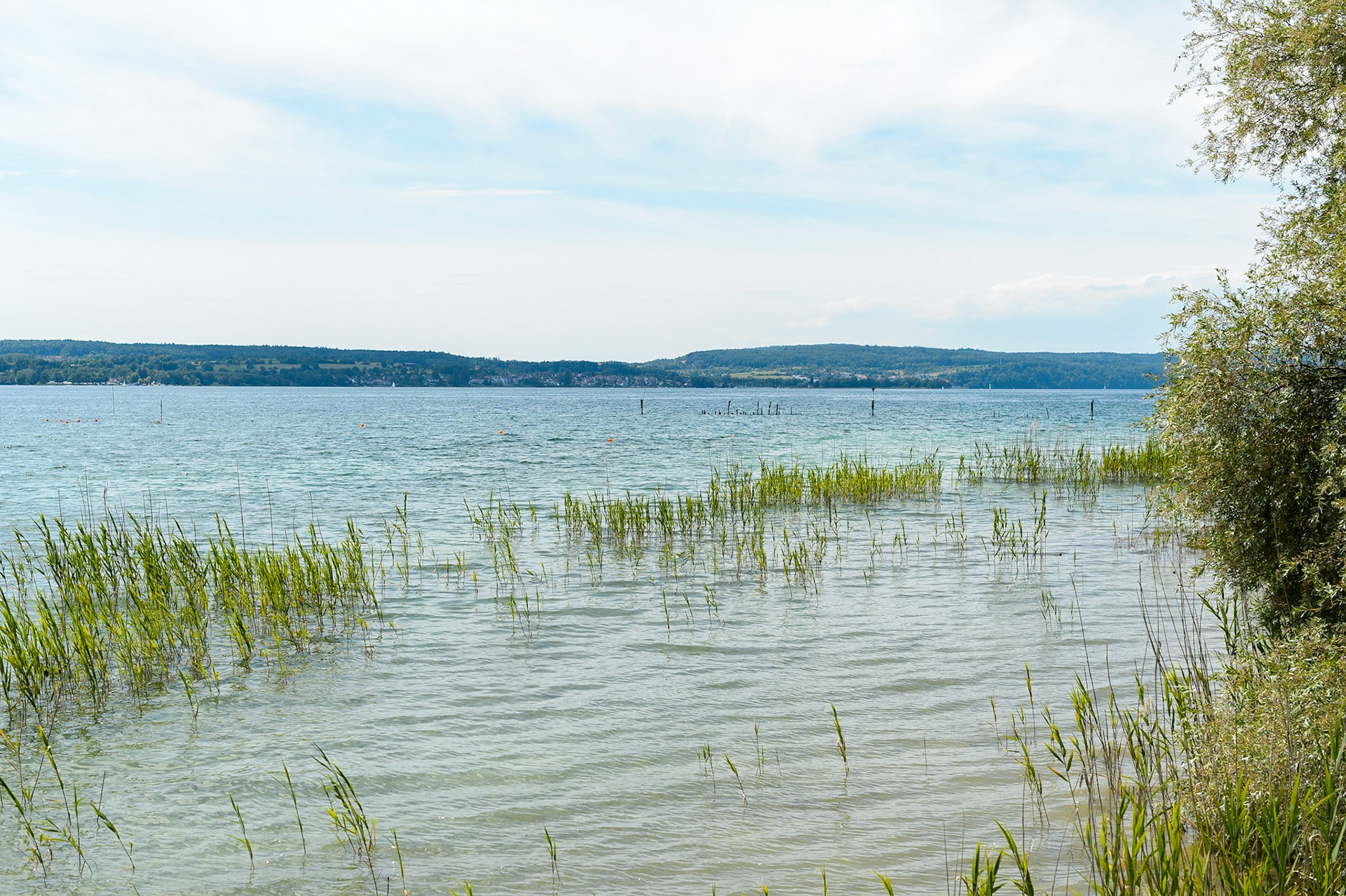 Lac de Constance, Bade-Wurtemberg, Allemagne