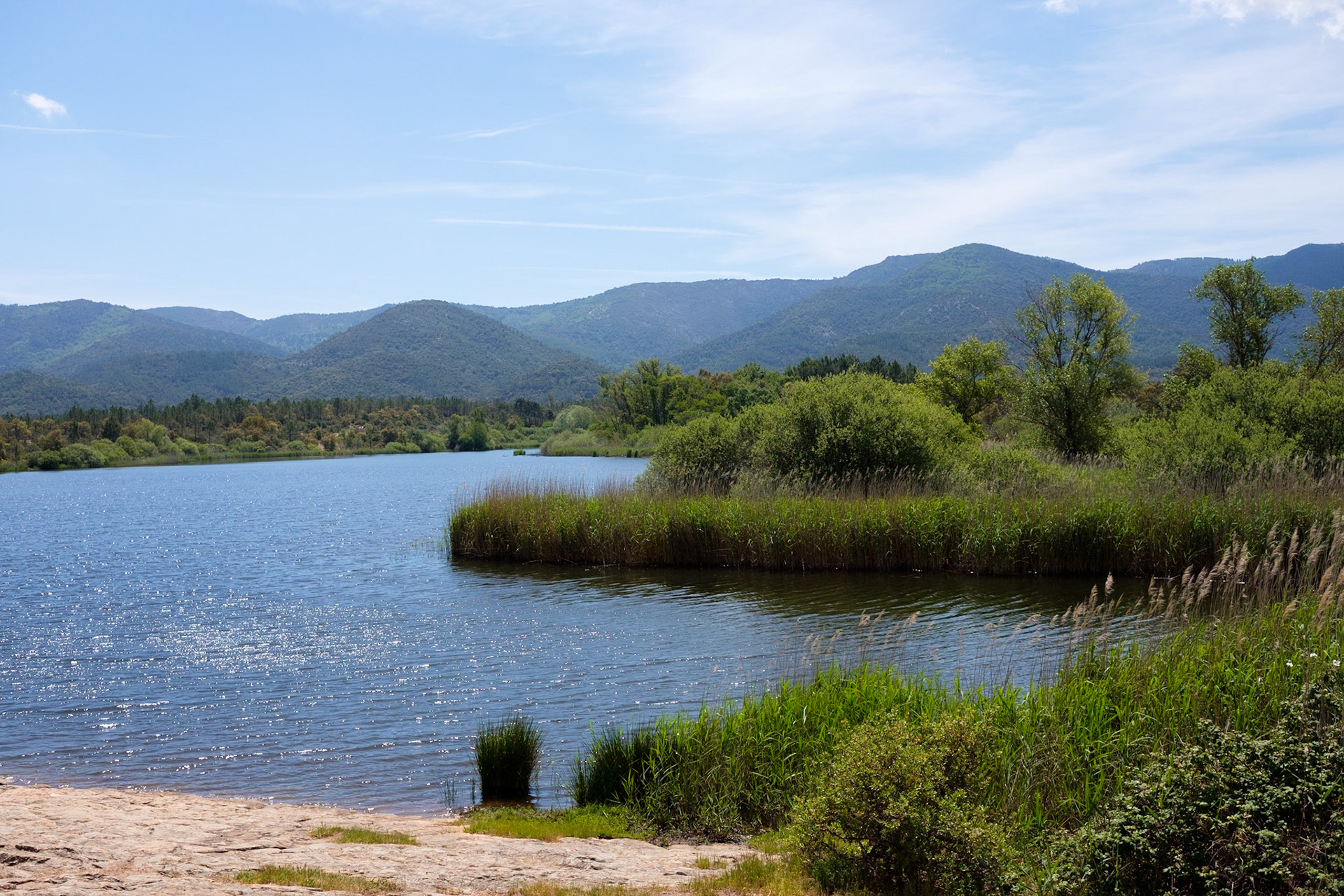La Plaine des Maures, Var.France.