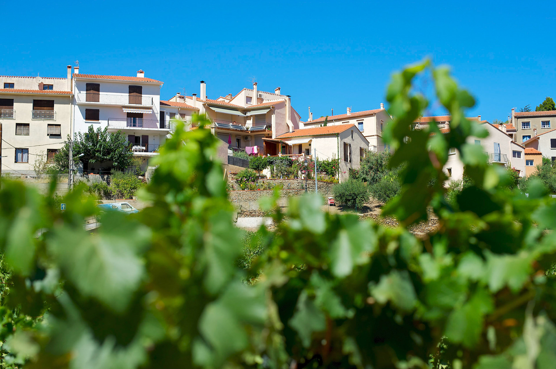 Village Catalan , Pyrenees Orientales, France. Feuillage flou au premier plan.