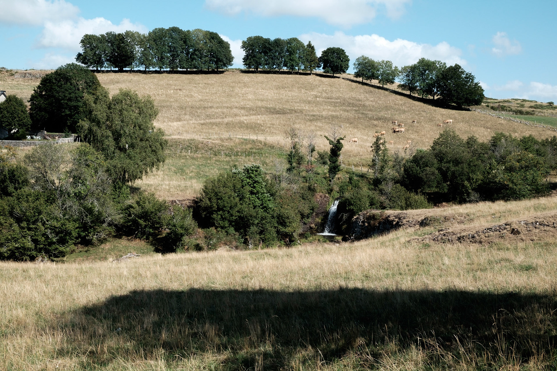 Aubrac, Auvergne,France.
