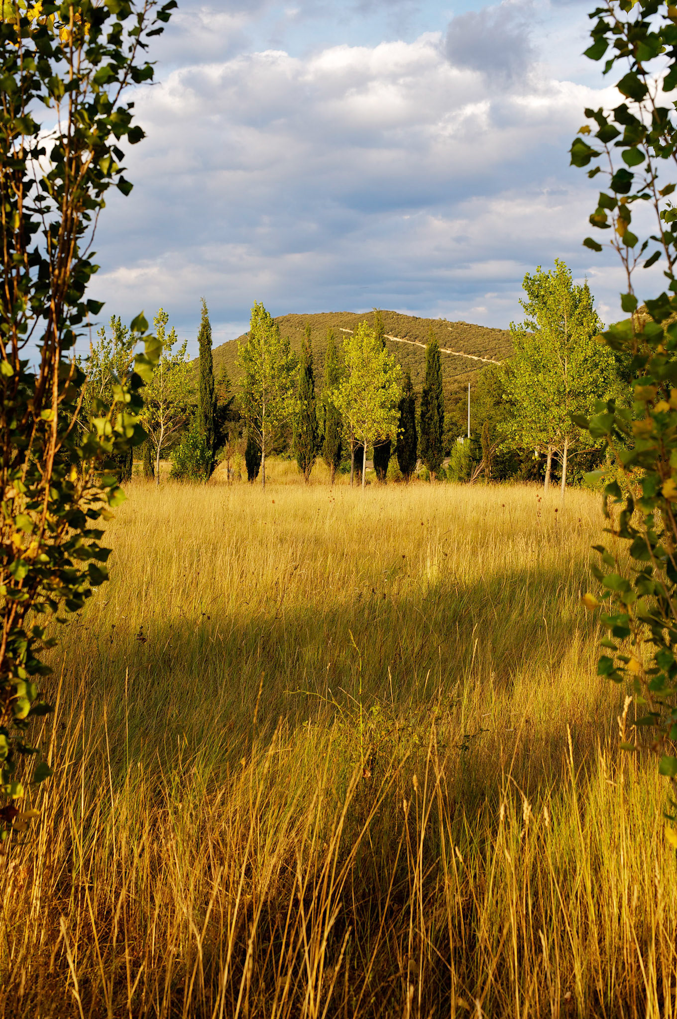 Paysages des Hautes Corbieres, Aude, France.