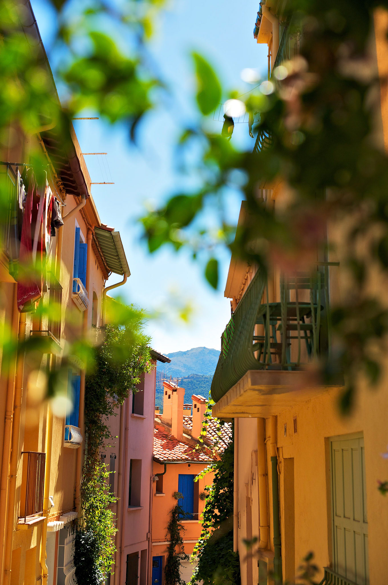 Collioure, Pyrenees Orientales, France