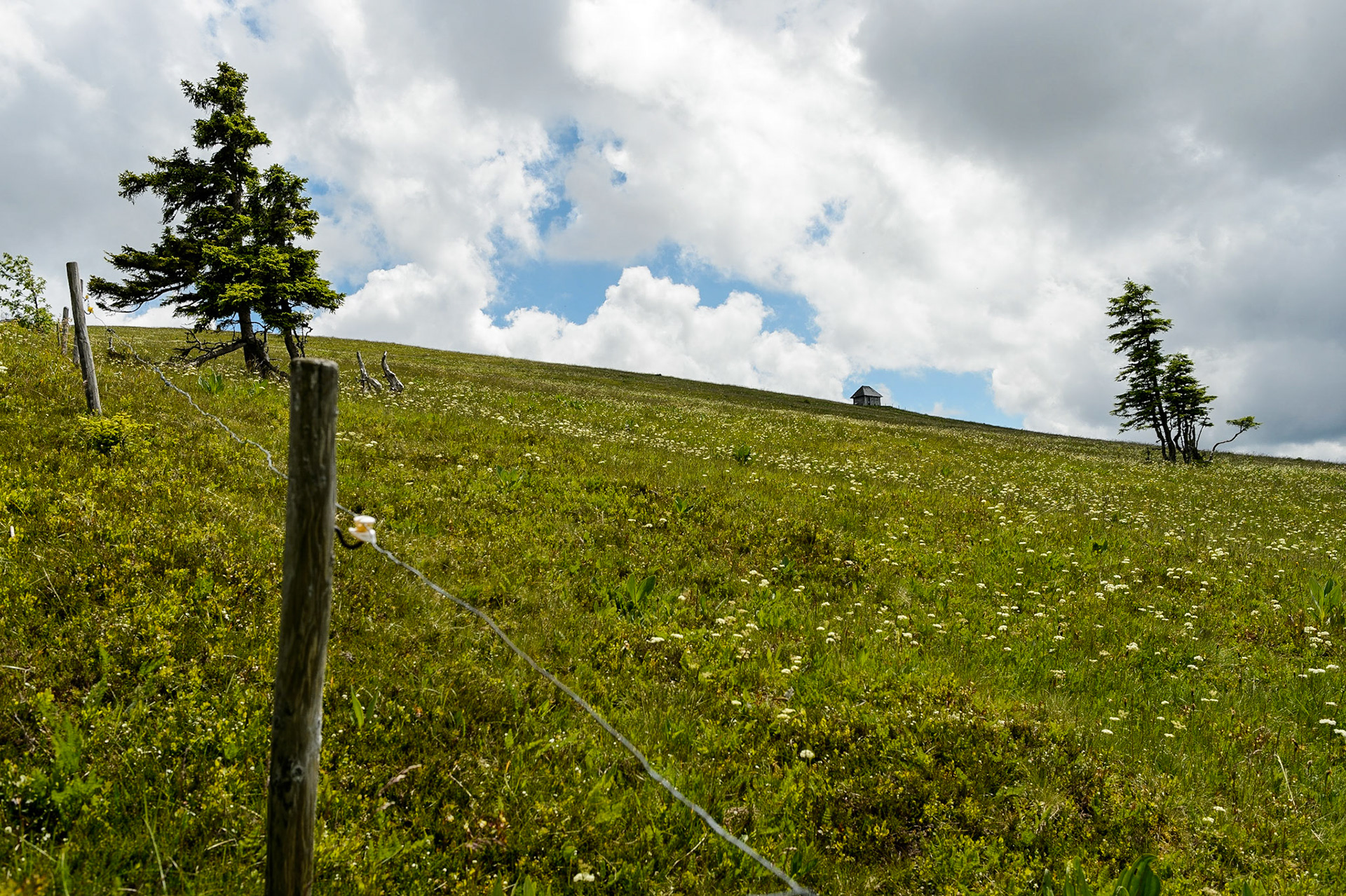 Paysages de Forêt Noire , Allemagne. Landschaften Schwarzwald, Deutschland