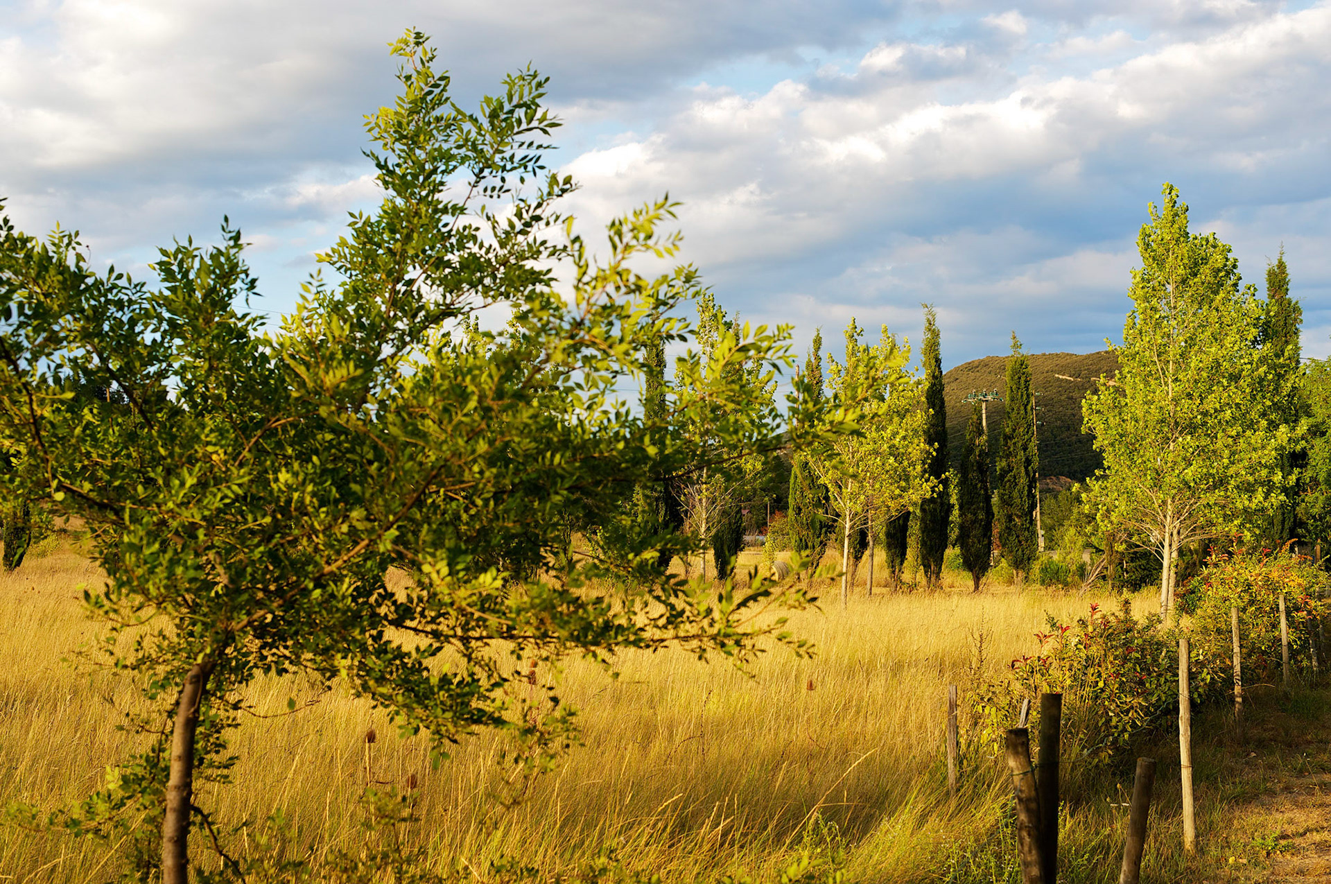 Paysages des Hautes Corbieres, Aude, France.