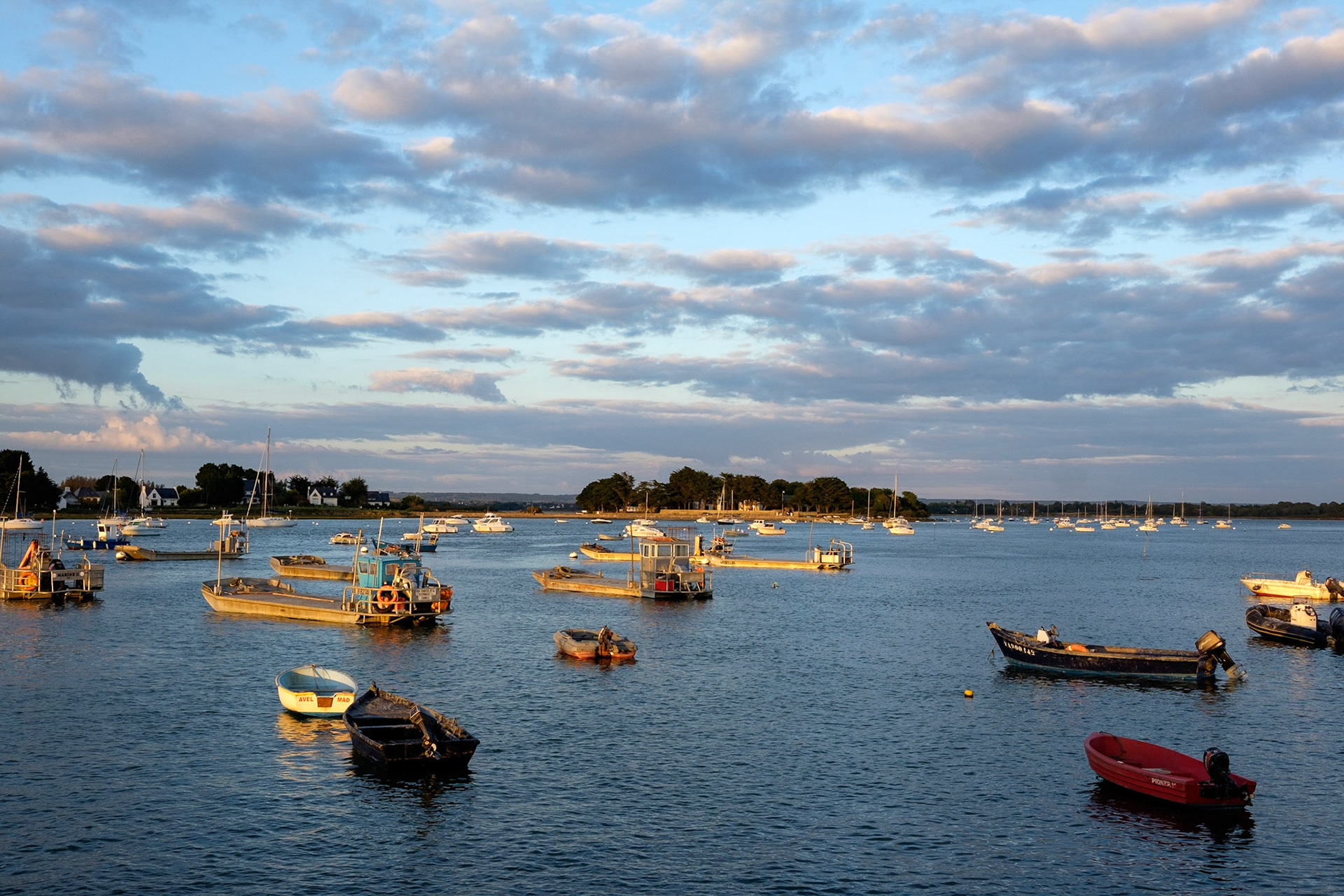 Bateaux au mouillage dans la lumière du soir. Paysage du Golfe de Morbihan, Bretagne, France. / Boats at anchor in the evening light. Landscape of the Gulf of Morbihan, Brittany, France.